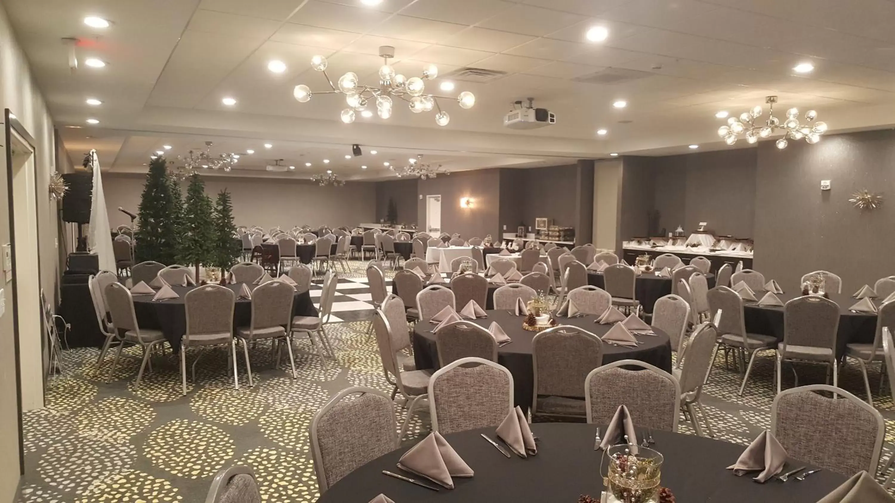 Meeting/conference room, Banquet Facilities in Holiday Inn Hotel & Suites - Decatur, an IHG Hotel