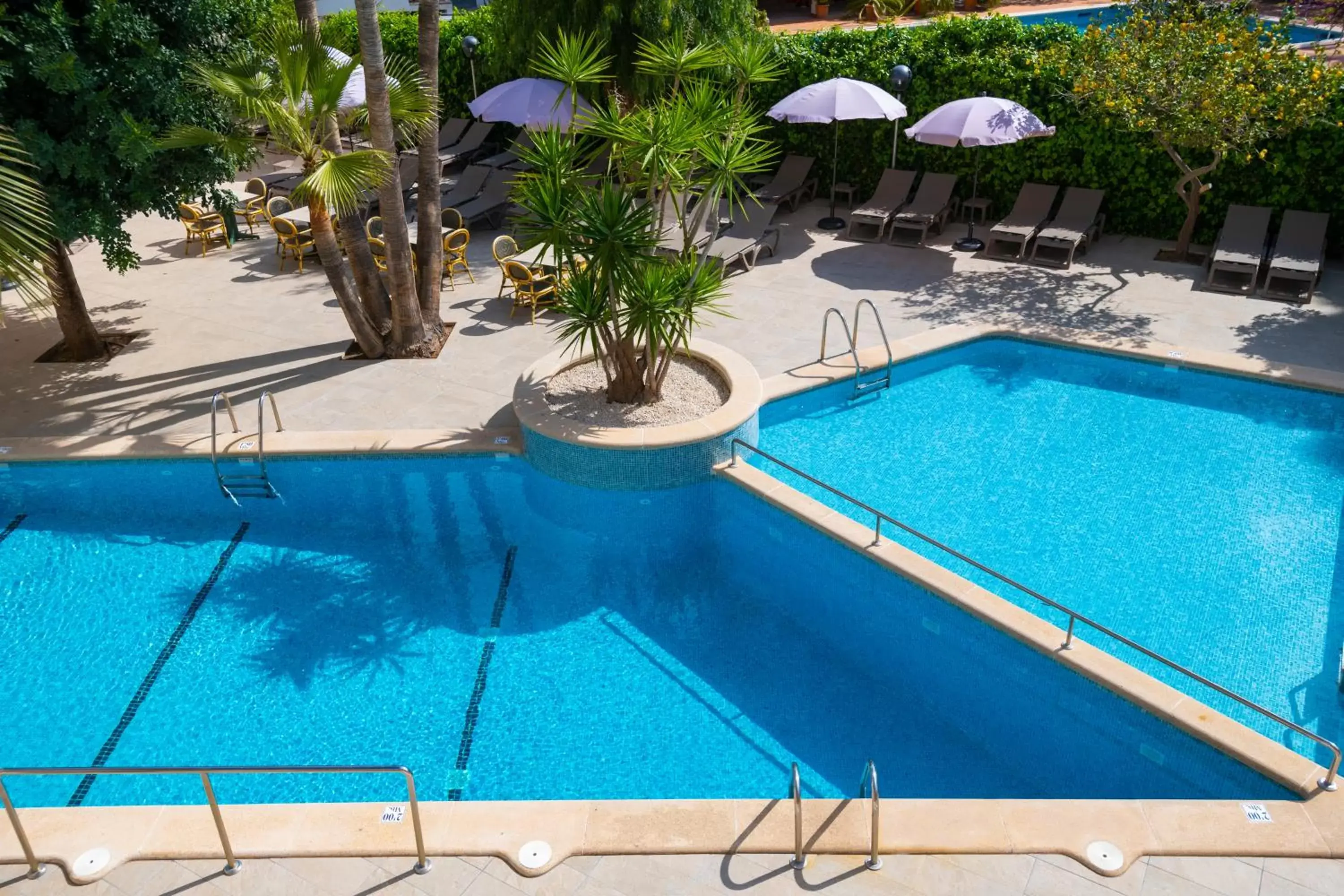 Swimming pool in FLOR los Almendros Hotel Swimming pool in FLOR los Almendros Hotel