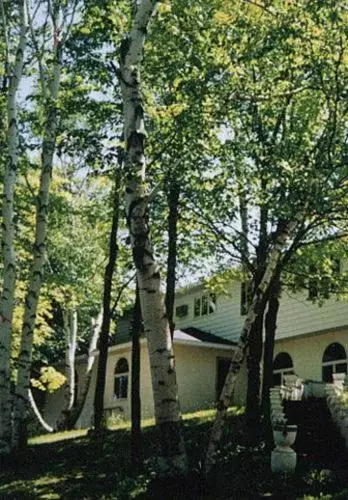 Property Building in White Birch Inn