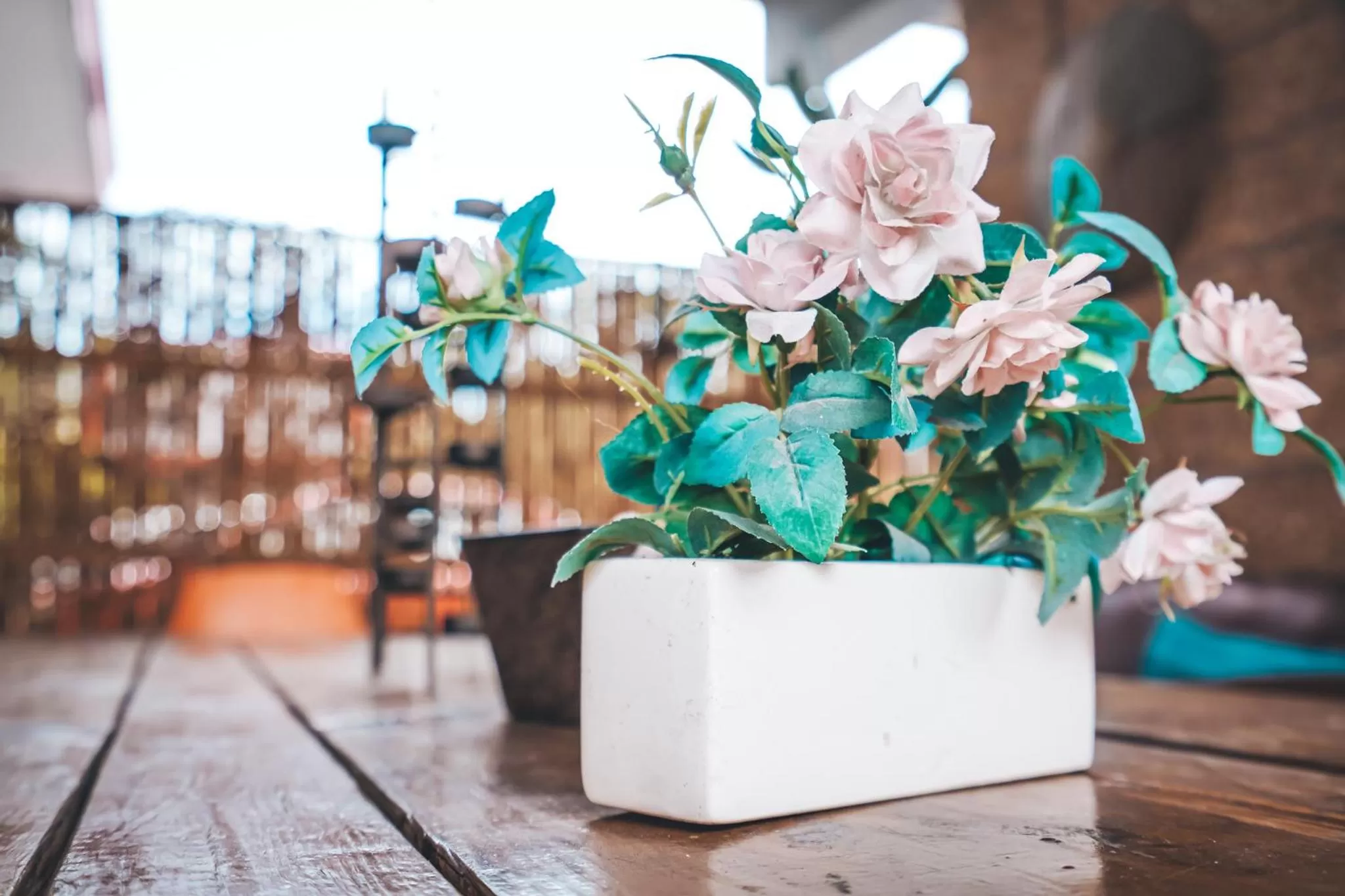 Patio in Hollywood Light Haven Lodge