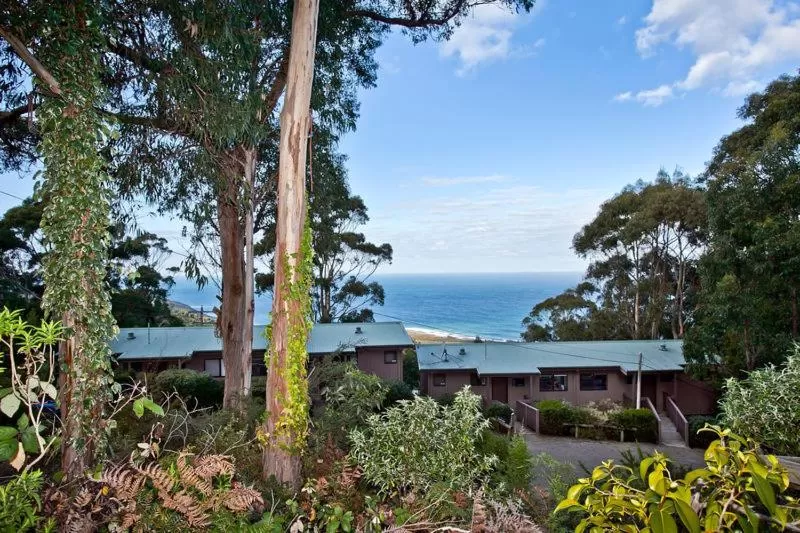 Area and facilities in Beacon Point Ocean View Villas