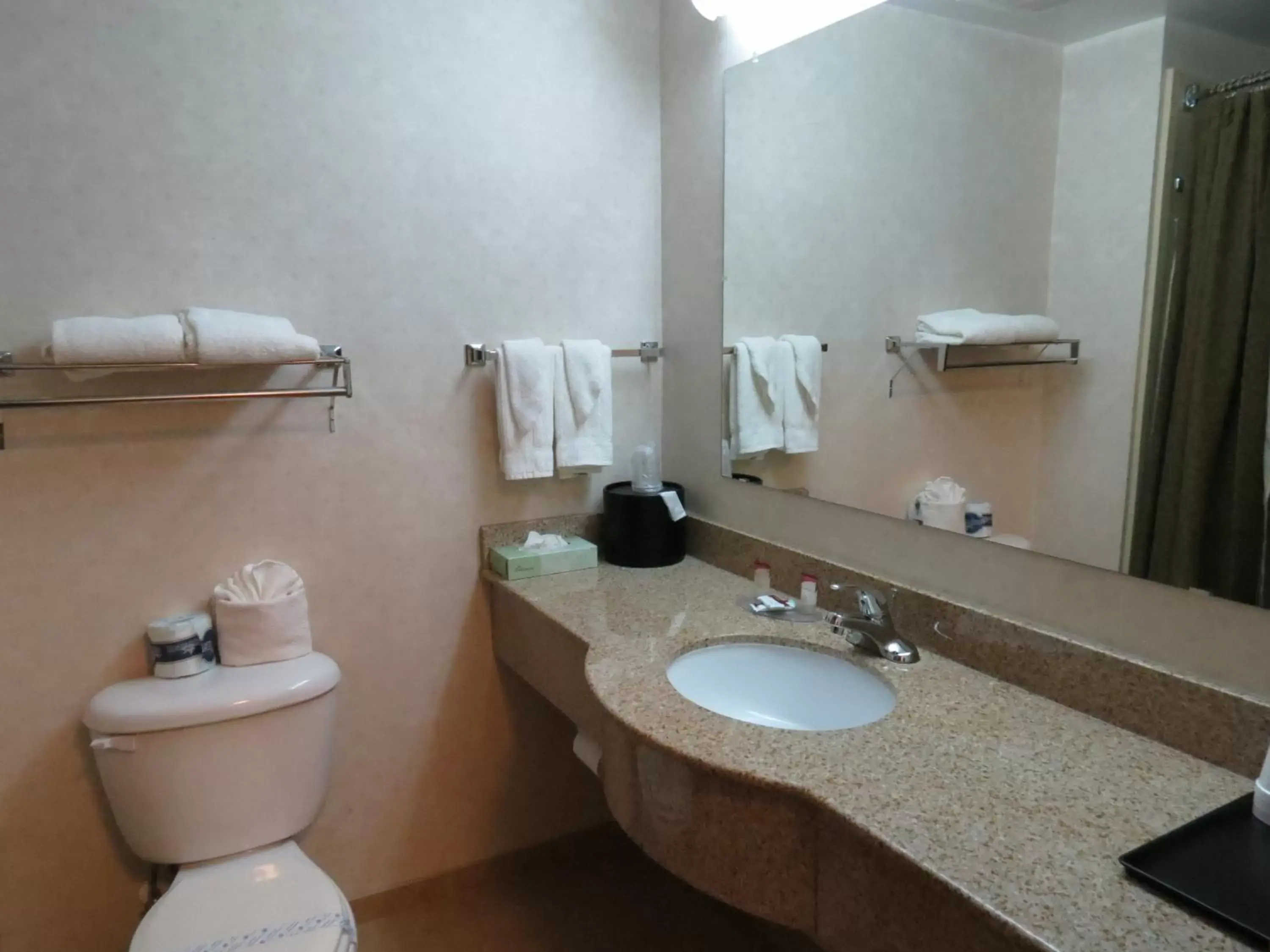 King Room with Spa Bath - Non-Smoking in Executive Inn & Suites Upper Marlboro