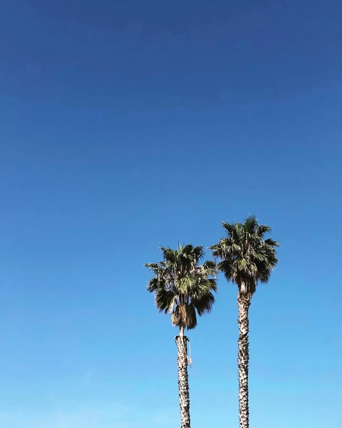 View (from property/room) in The M Malibu View (from property/room) in The M Malibu