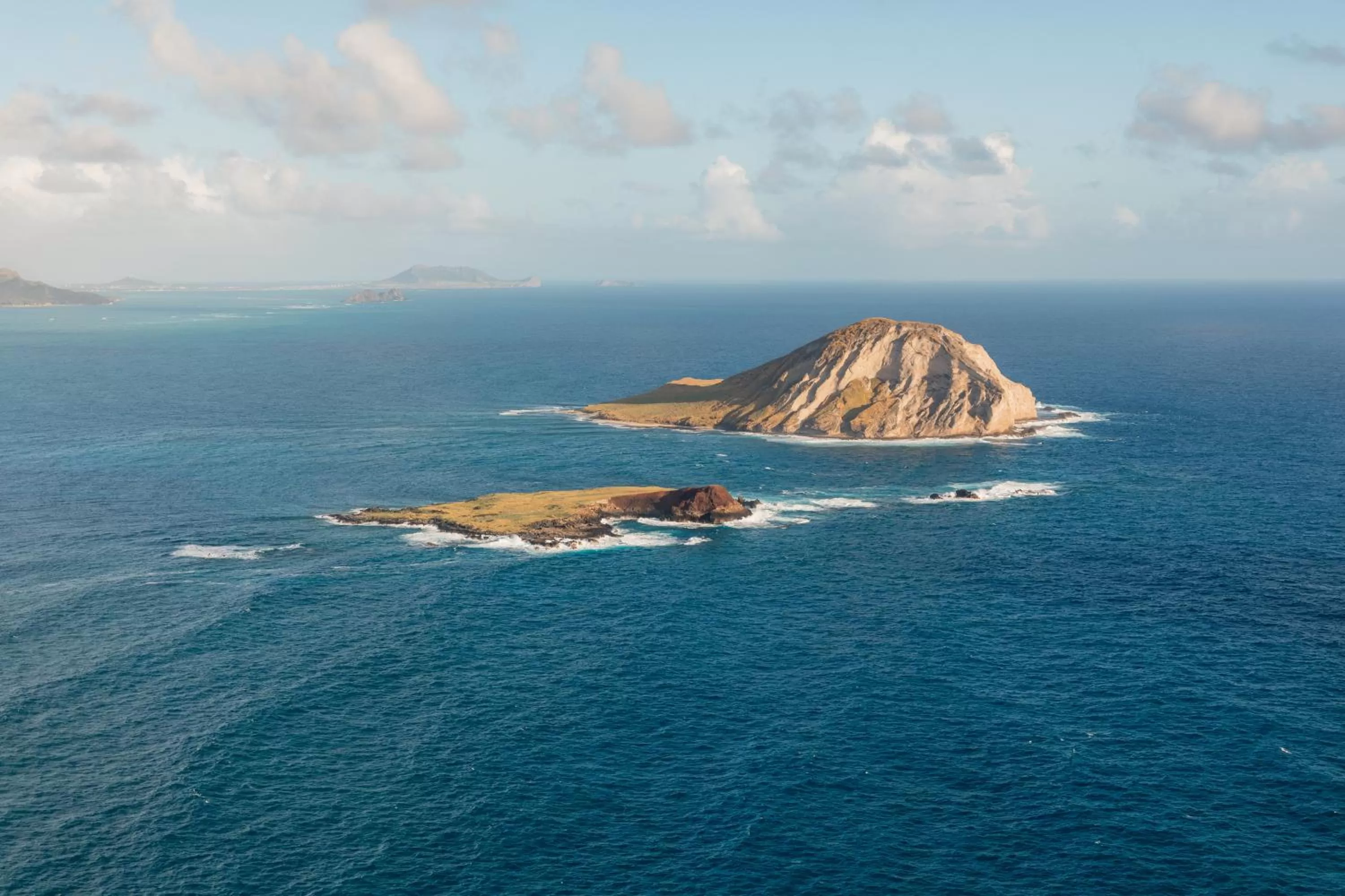 Activities in Wayfinder Waikiki - Voted Top 10 Best Hotels in Hawaii!