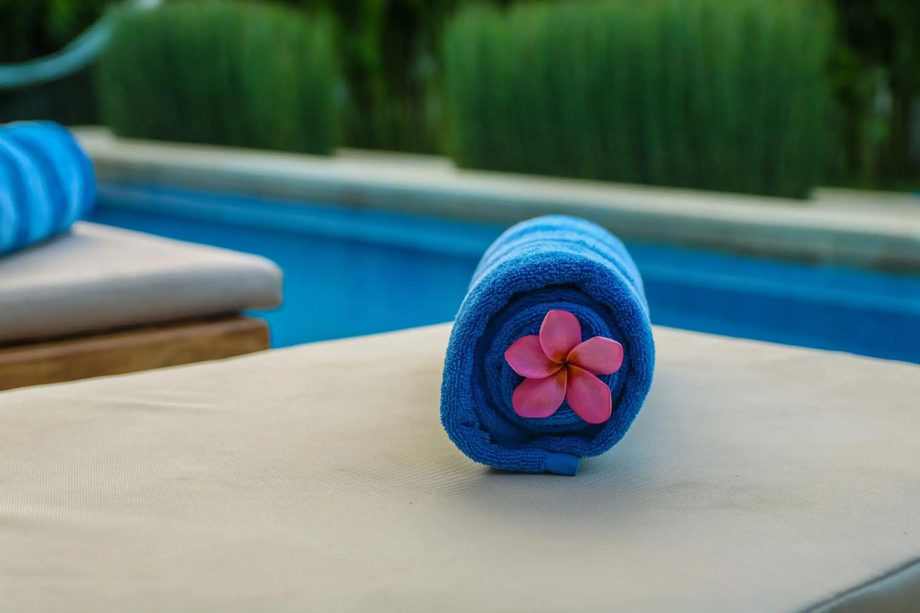 Pool view in Cozy Cottages Lombok Pool view in Cozy Cottages Lombok