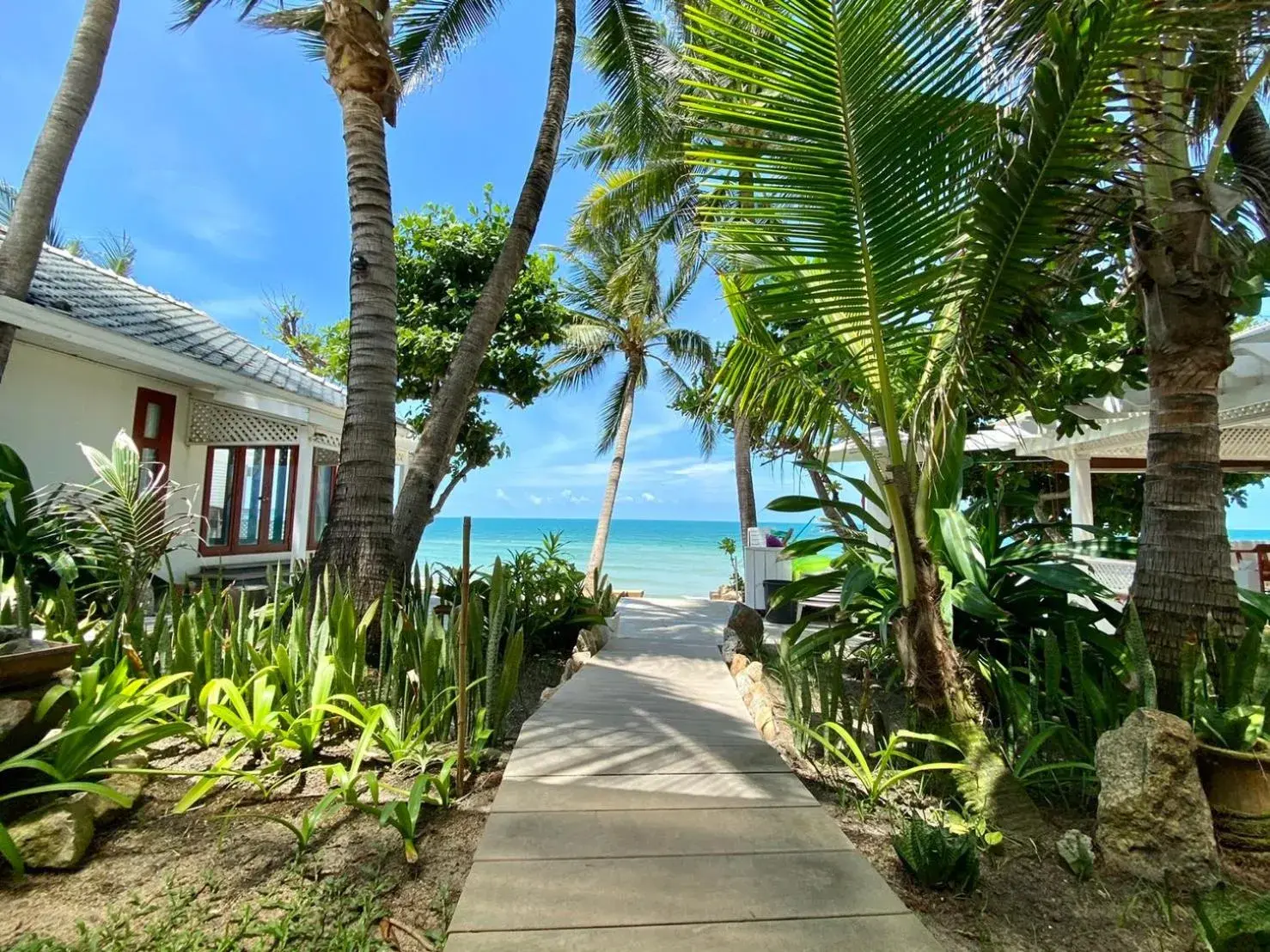 Garden in Sans Souci Samui - SHA Plus