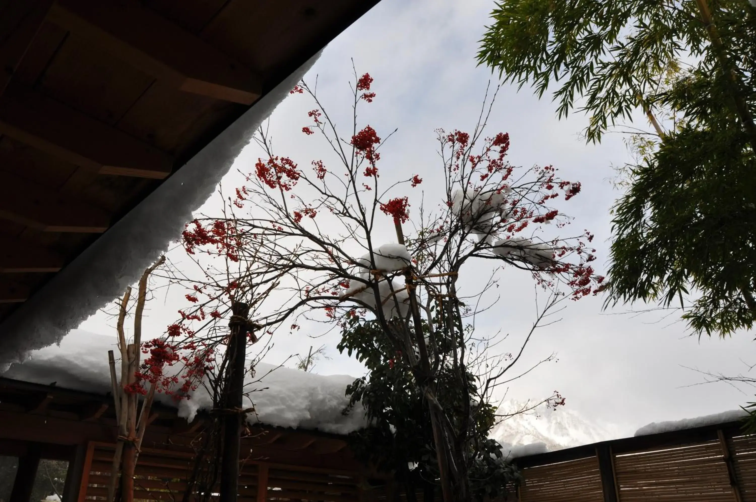 Hot Spring Bath, Winter in Yuzawa Grand Hotel