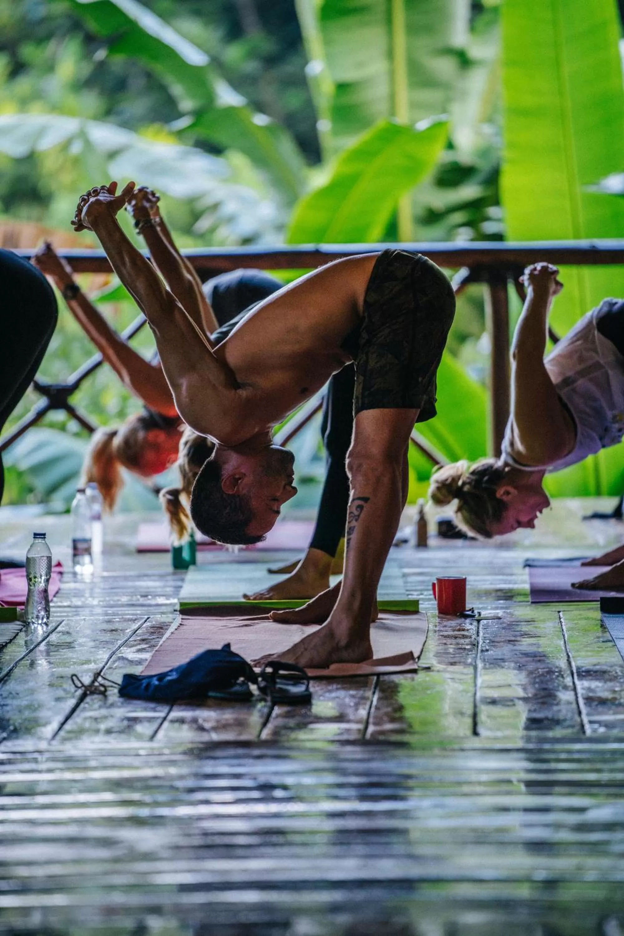 group of guests in Dominican Tree House Village