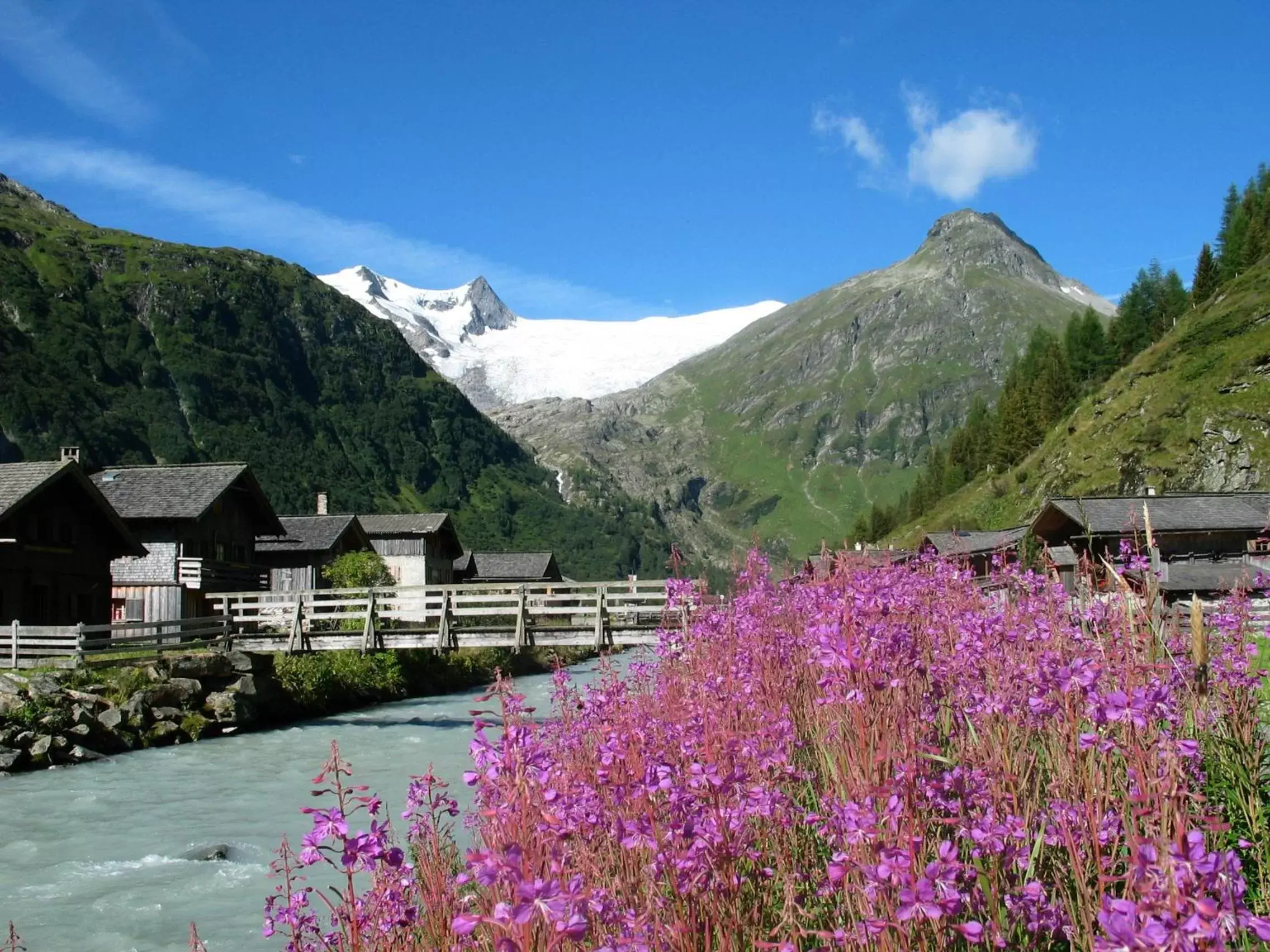 Hiking, Mountain View in Hotel Moarhof