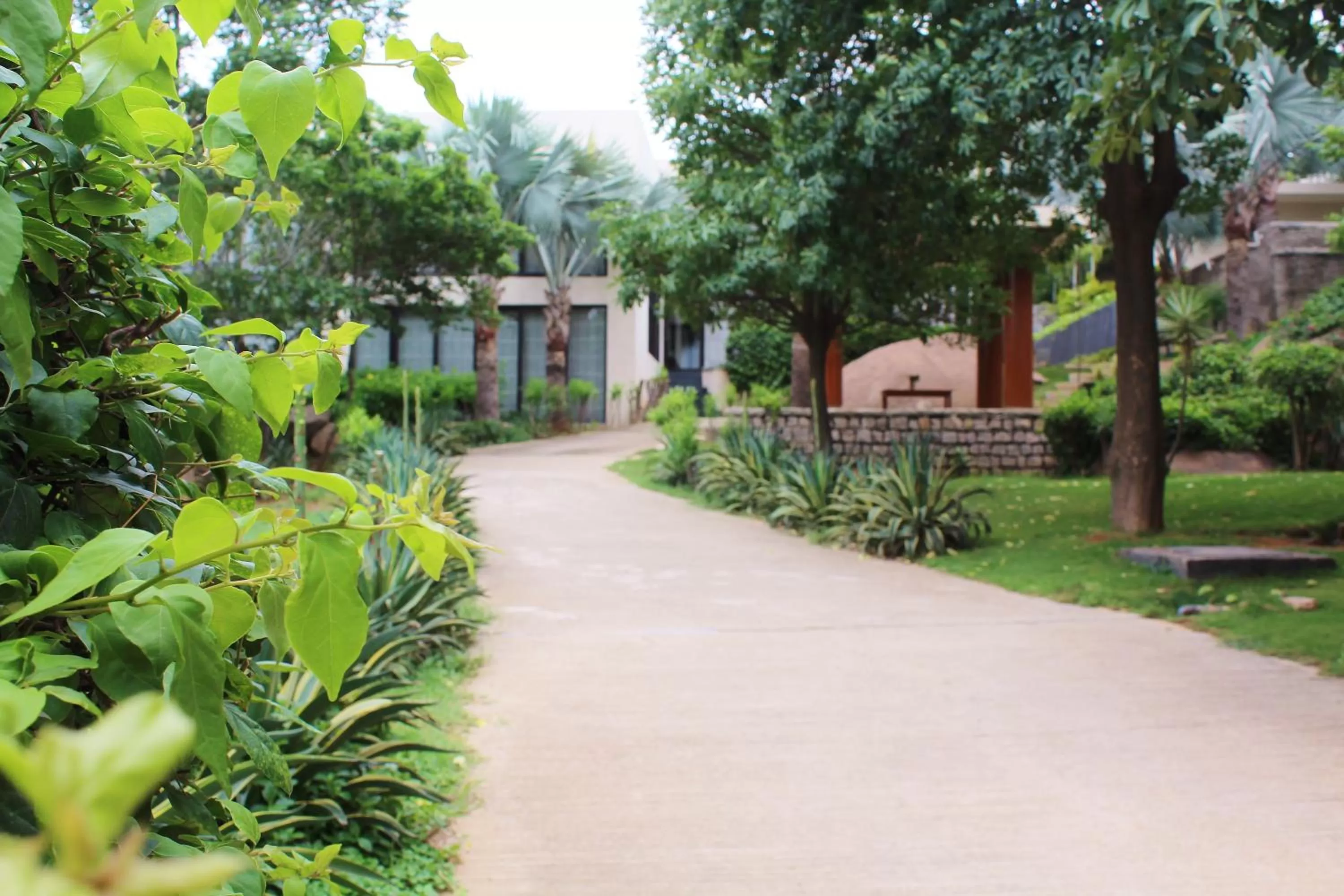 Property building in Hyatt Hyderabad Gachibowli