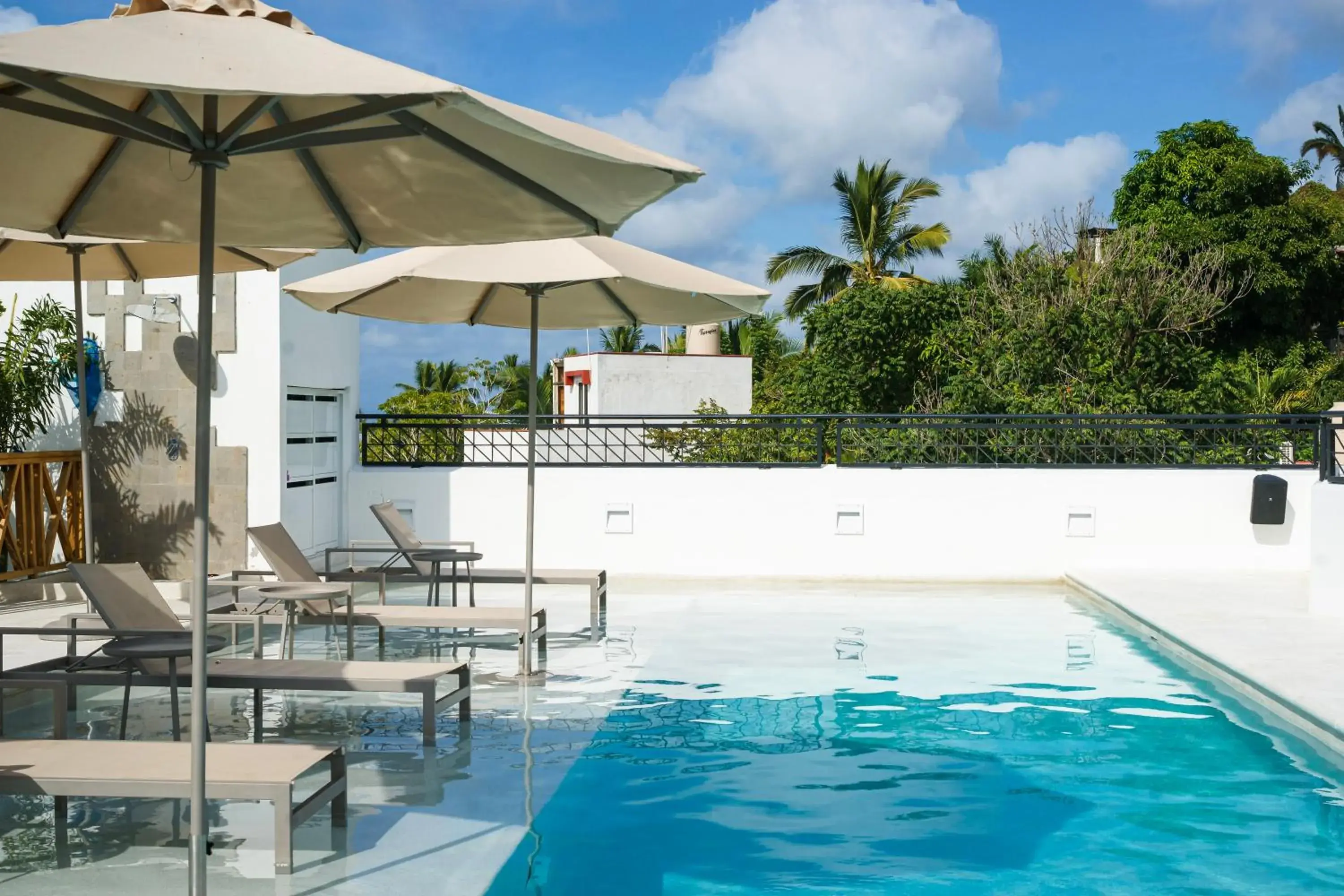 Swimming Pool in Ximena Hotel Boutique