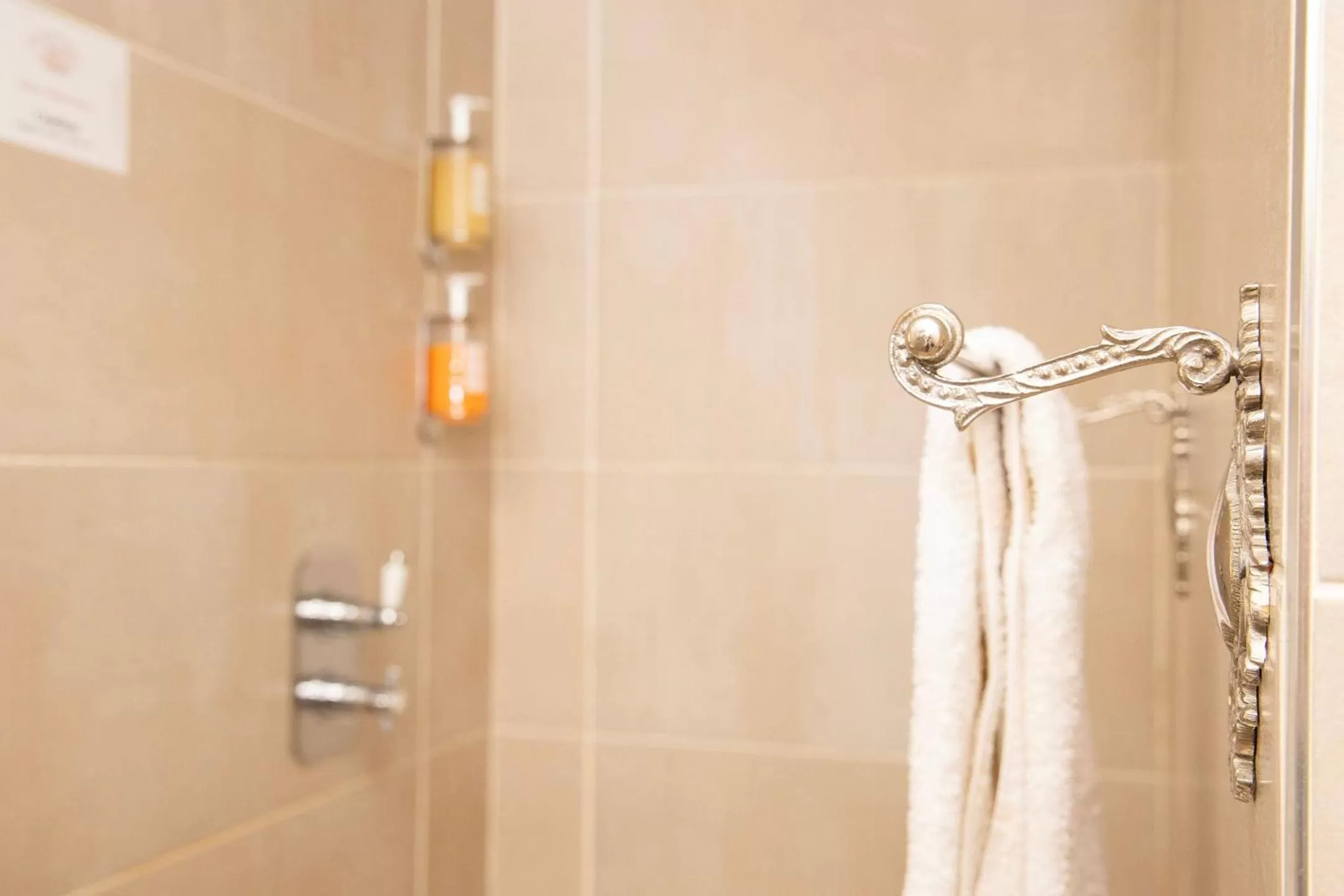 Shower in 30 James Street