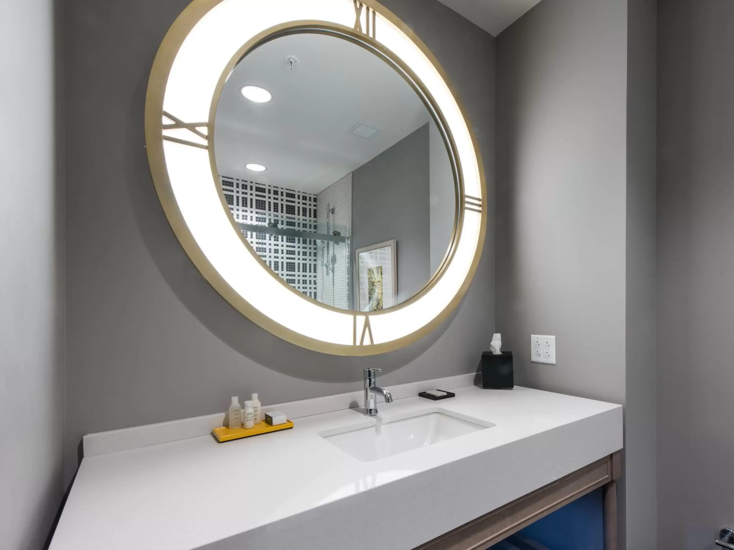 Bathroom in Hotel Indigo Hattiesburg, an IHG Hotel