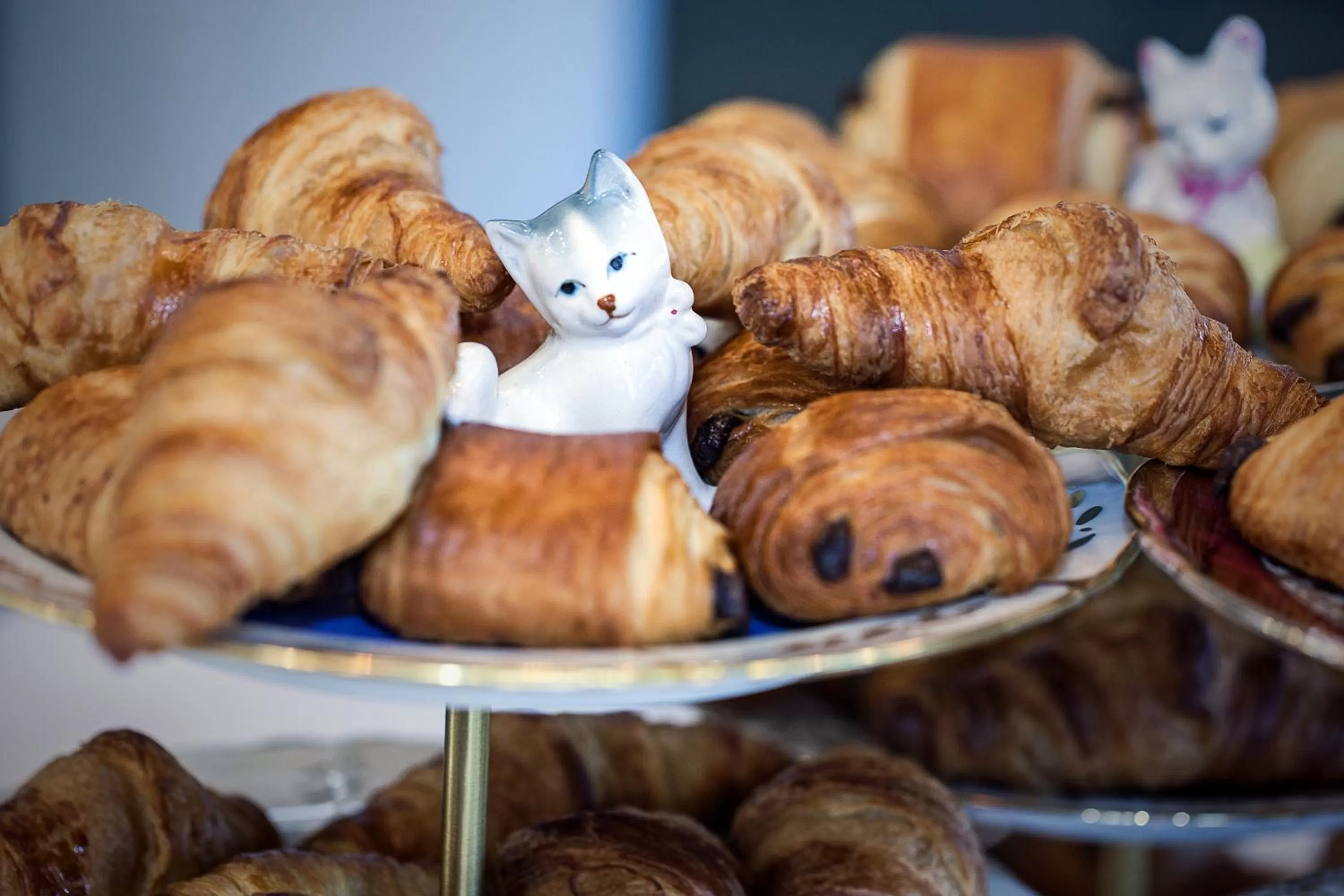 Food and drinks in ibis Styles Genève Carouge