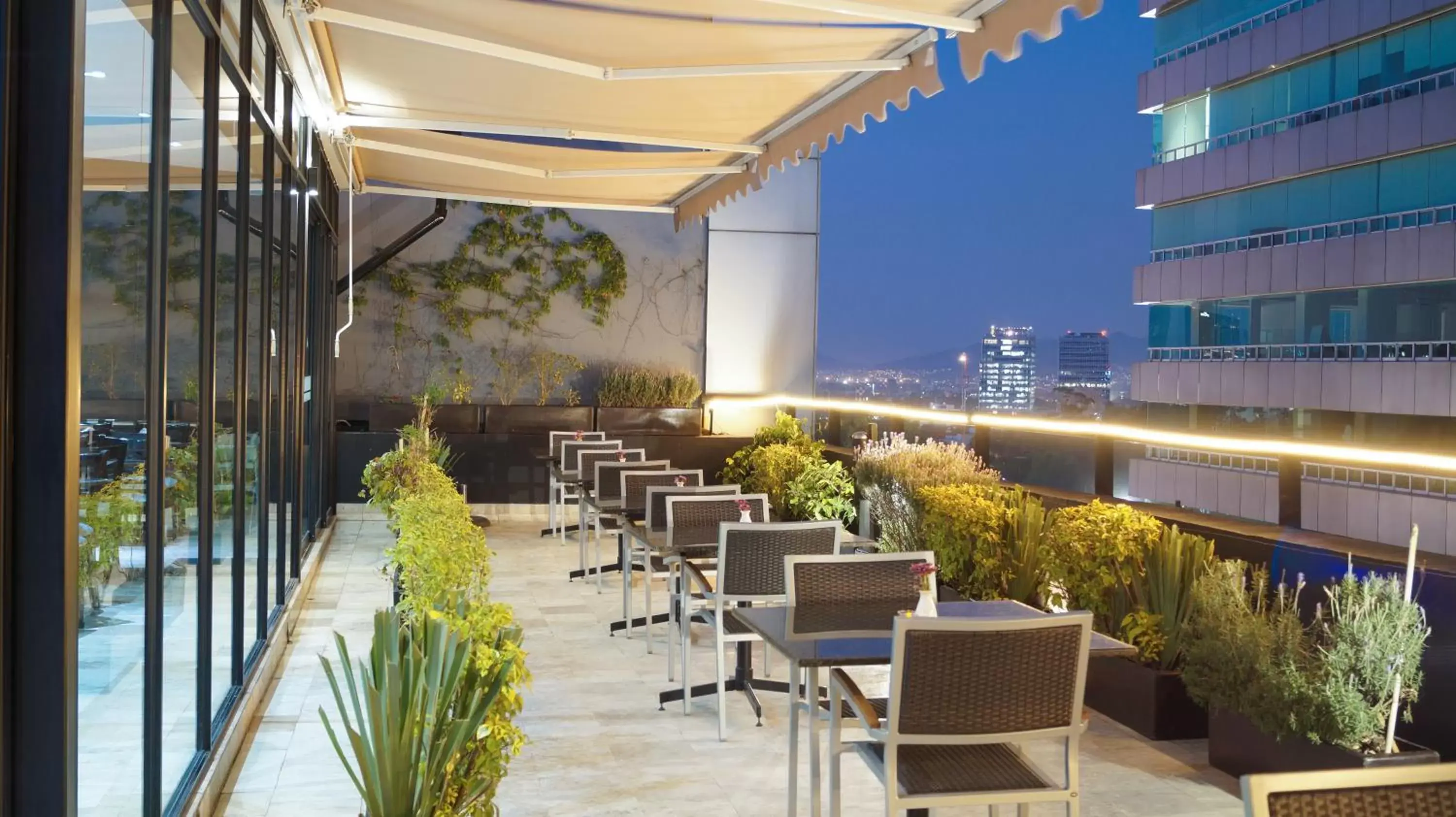 Restaurant/places to eat in Alteza Polanco Restaurant/places to eat in Alteza Polanco