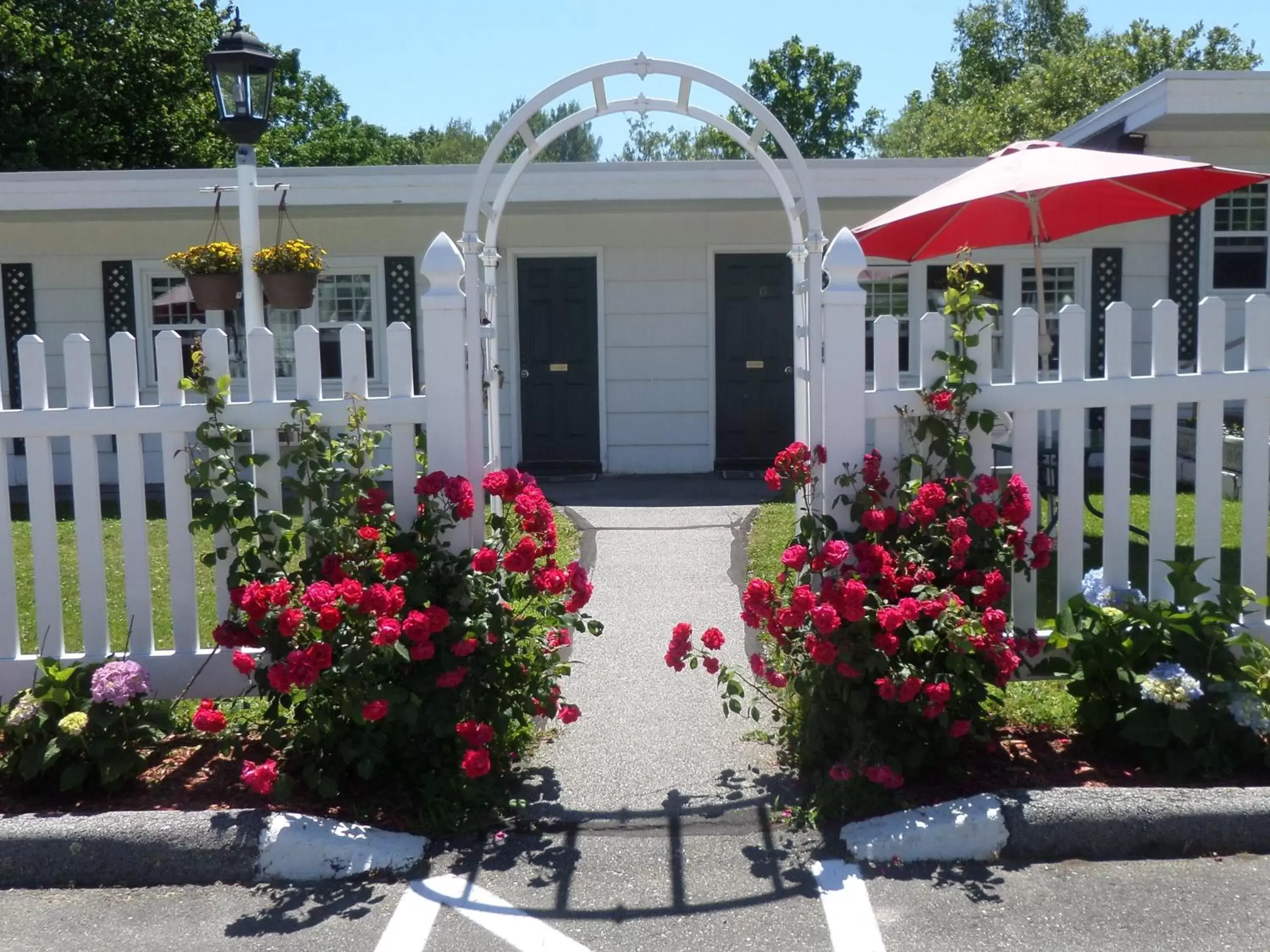 Garden in Claddagh Motel & Suites