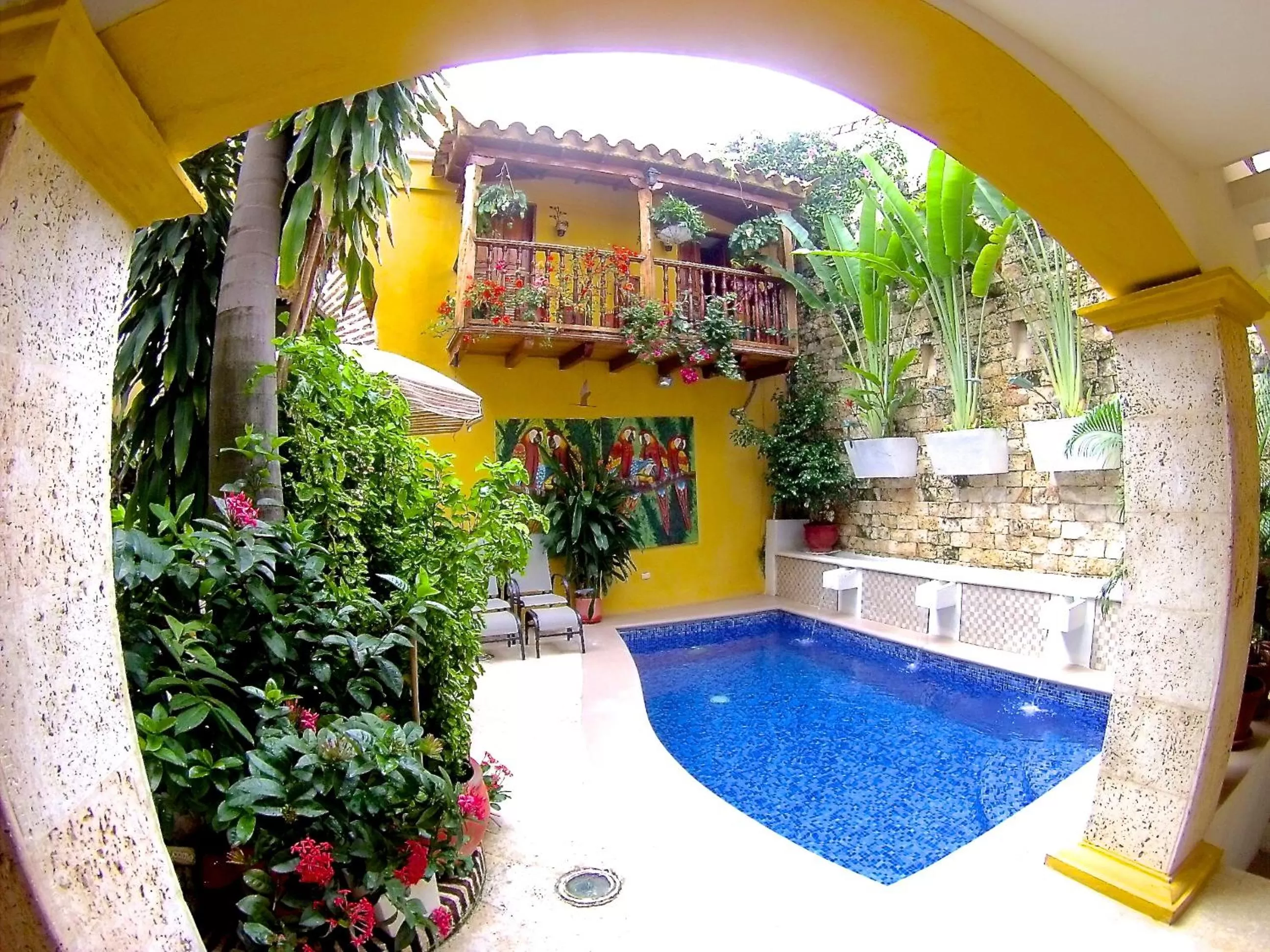 Garden, Swimming Pool in Hotel Casa Gloria Boutique
