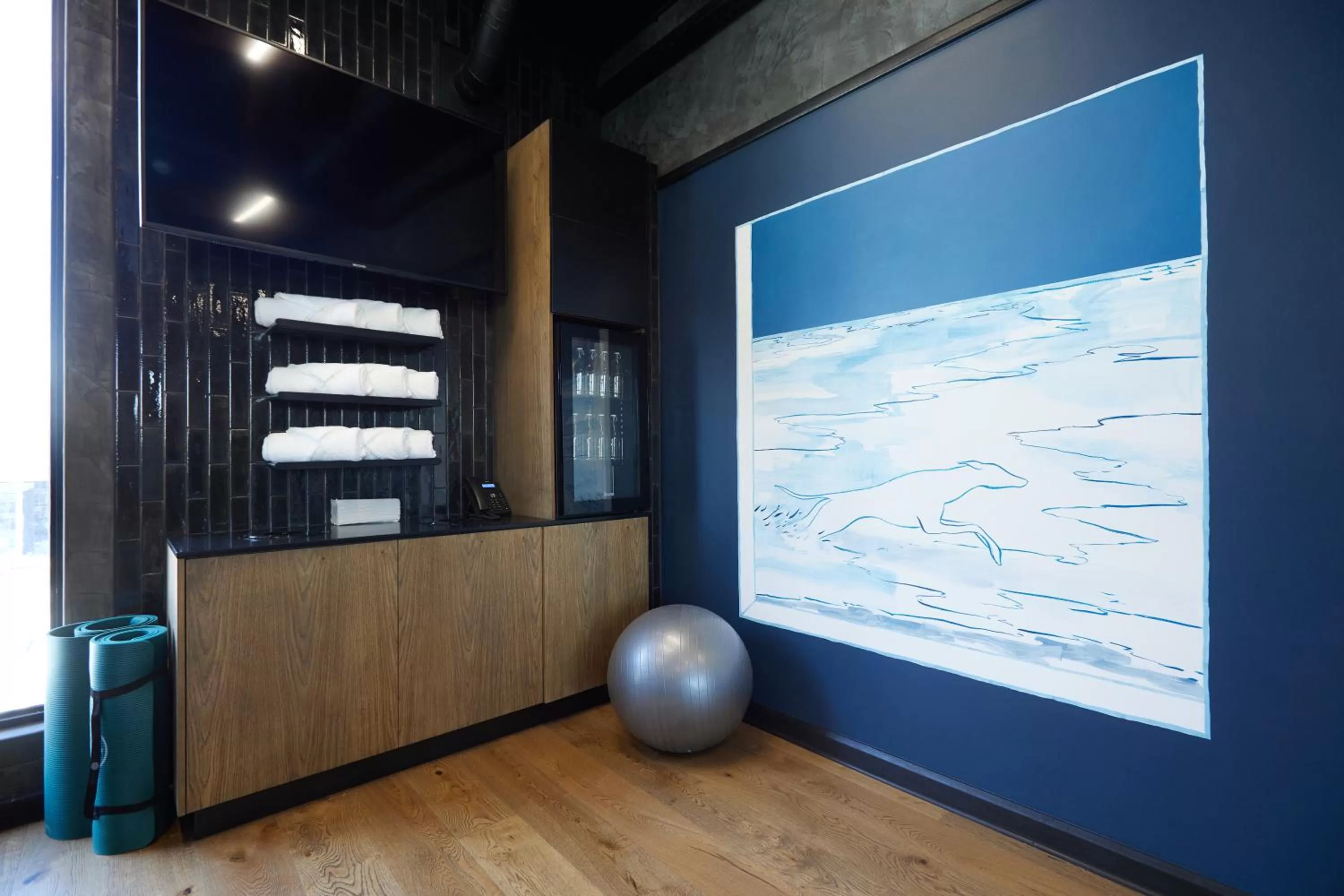 Fitness centre/facilities in HYDE JOHANNESBURG ROSEBANK