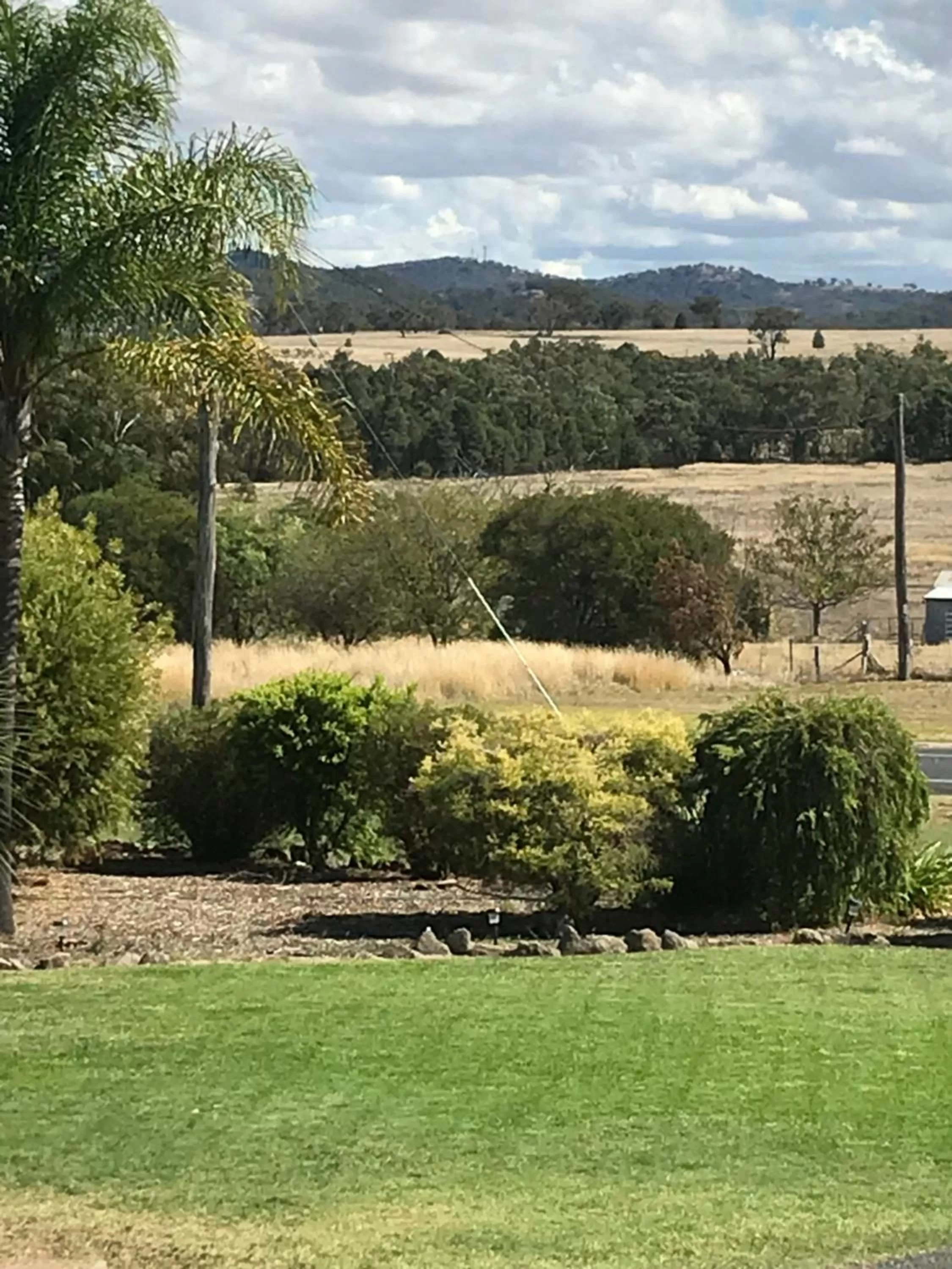 Natural landscape in Kootingal Landview Motel