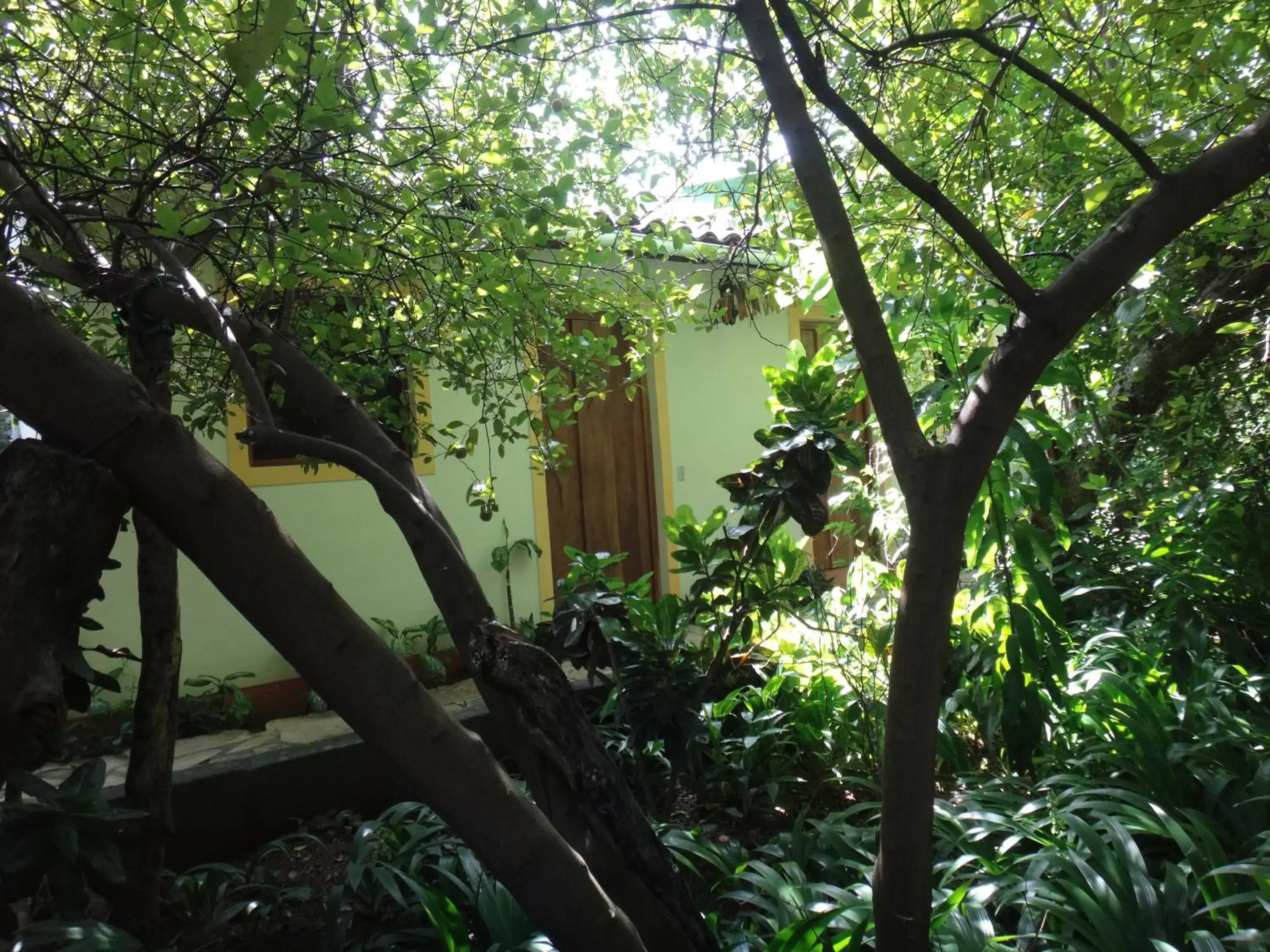 Patio, Property Building in Hotel Casa Barcelona