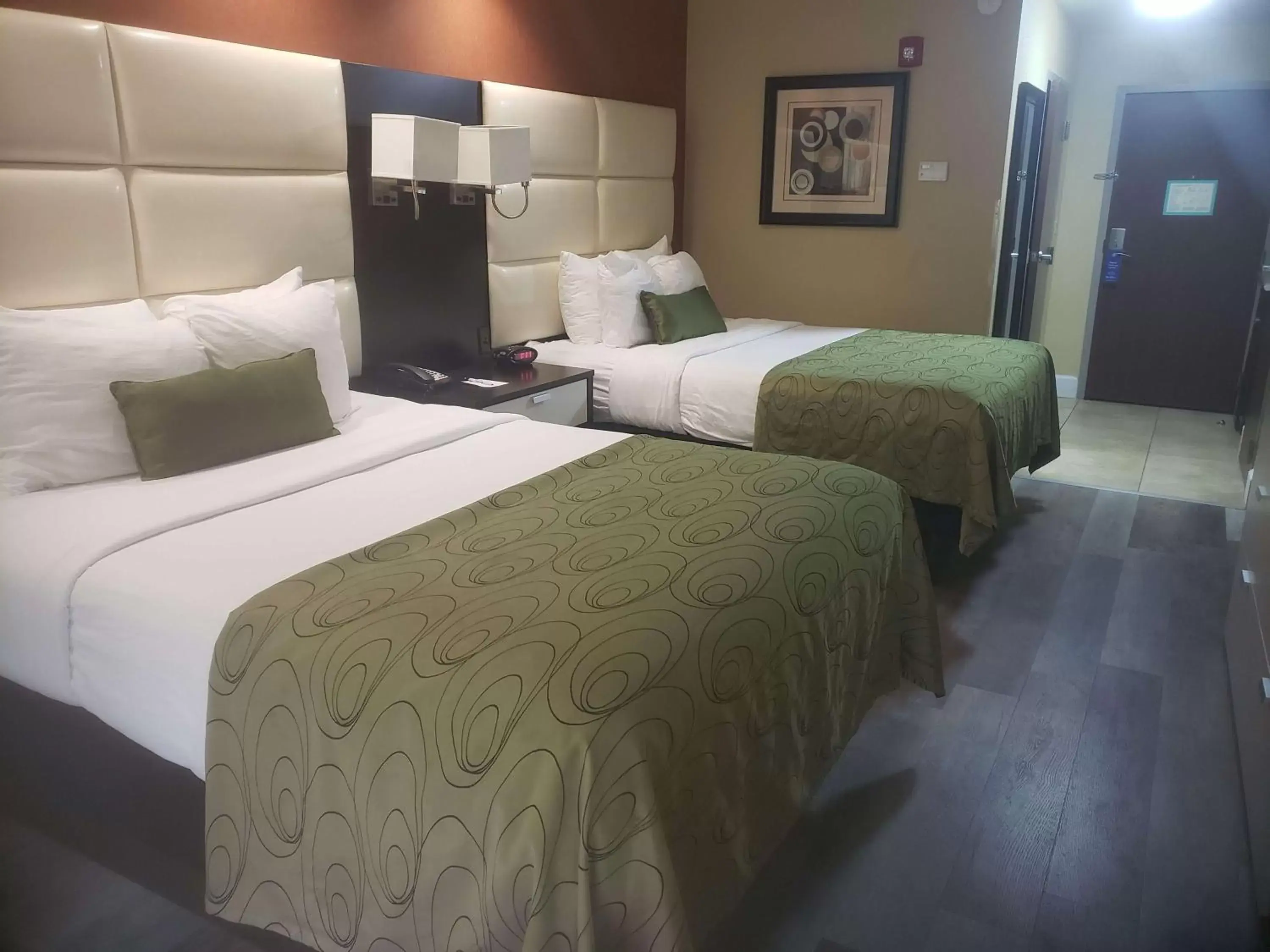 Photo of the whole room, Bed in Best Western Plus JFK Inn & Suites