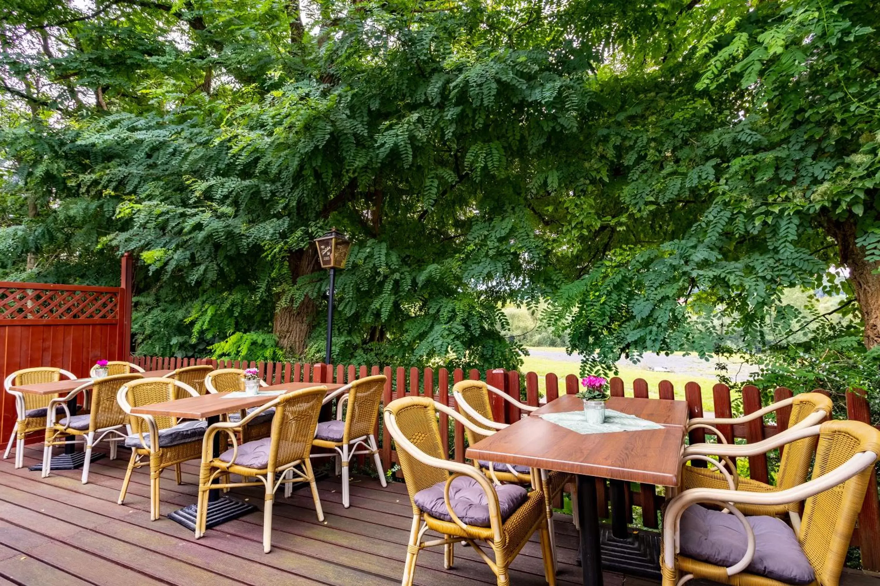 Balcony/Terrace, Restaurant/Places to Eat in Best Western Waldhotel Eskeshof