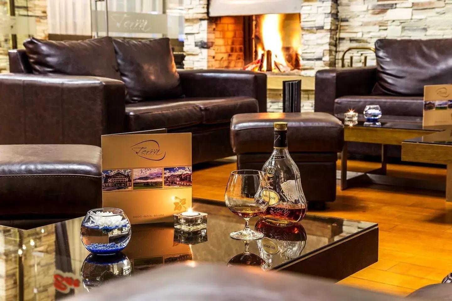 Lounge or bar in Terra Hotel