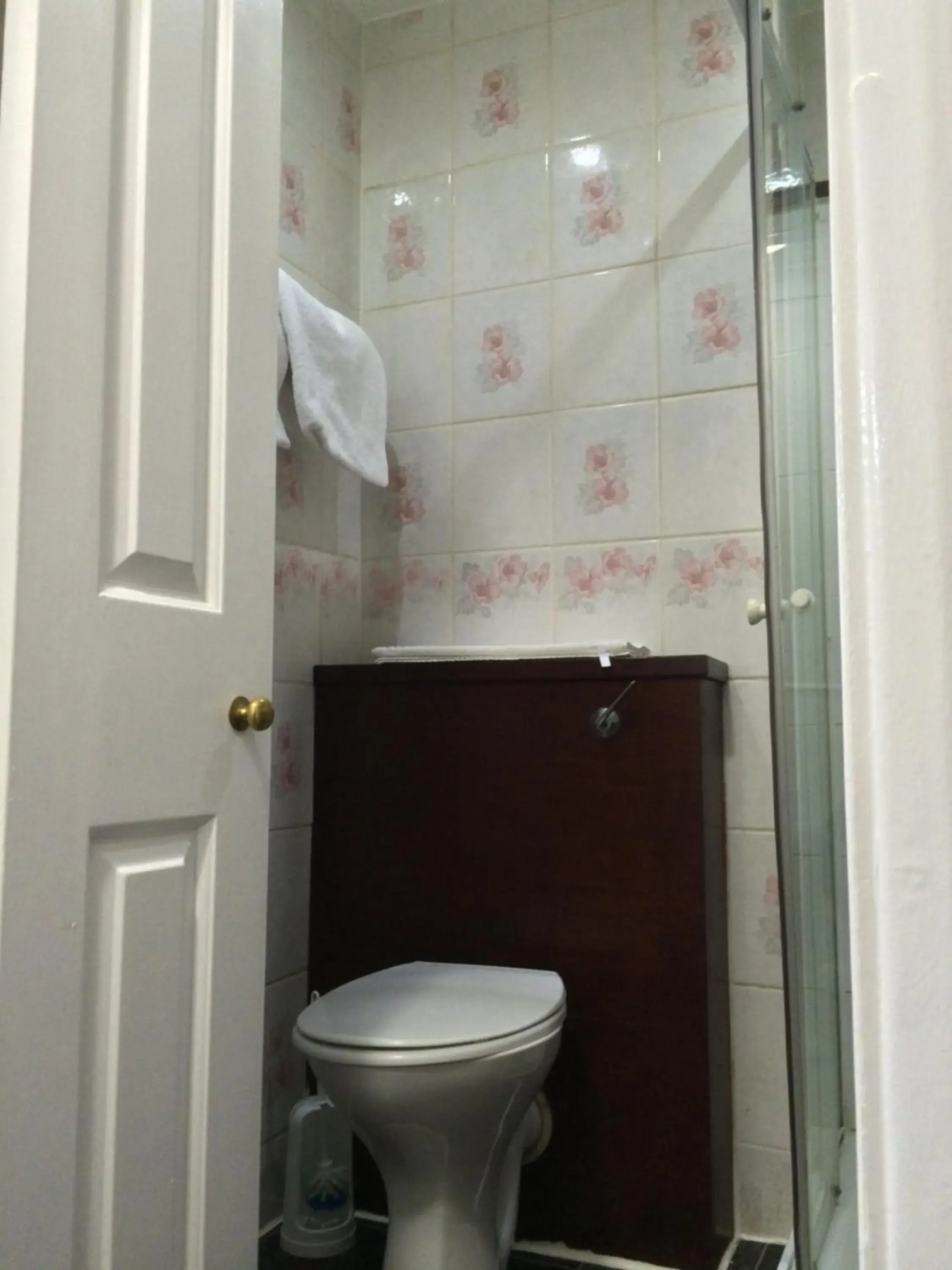 Toilet, Bathroom in London Continental Hotel