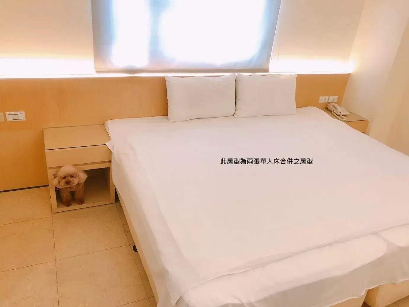 Bed in Kiwi Express Hotel - Kaohsiung Station