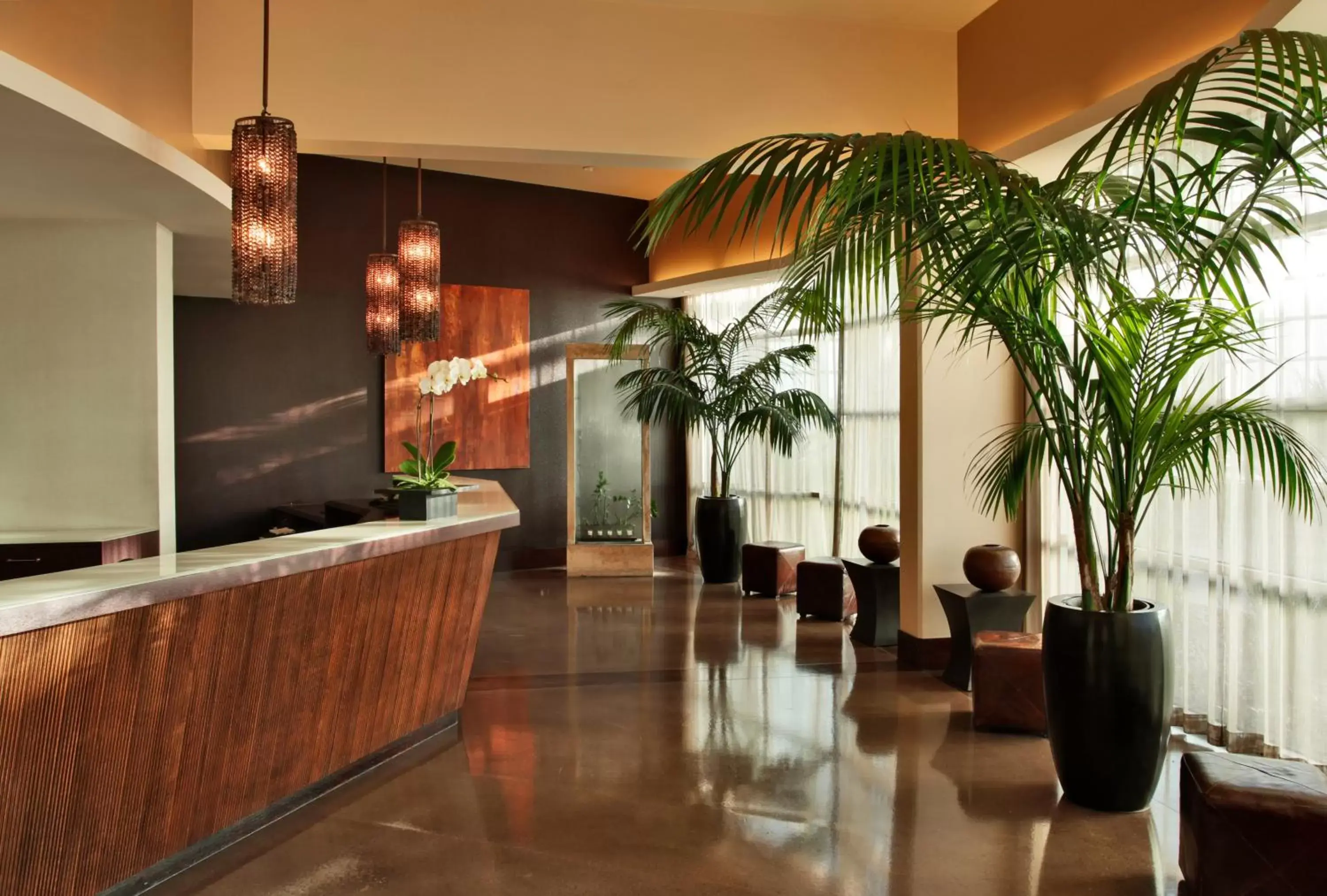 Lobby or reception, Lobby/Reception in Hotel Angeleno