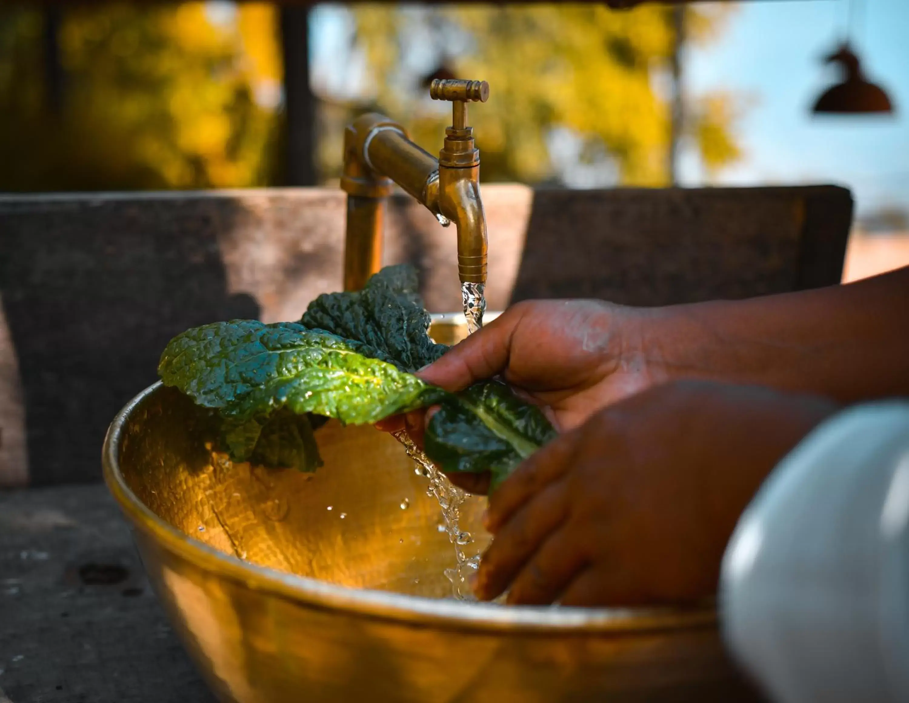 Dwarika's Sanctuary Dwarika's Sanctuary