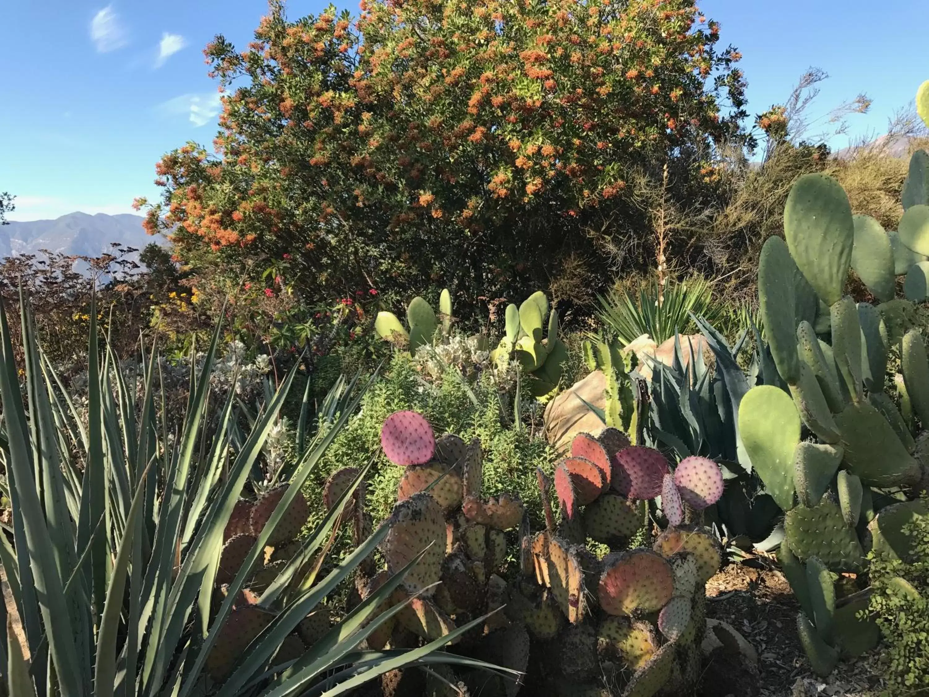 Off site, Garden in Chantico Inn