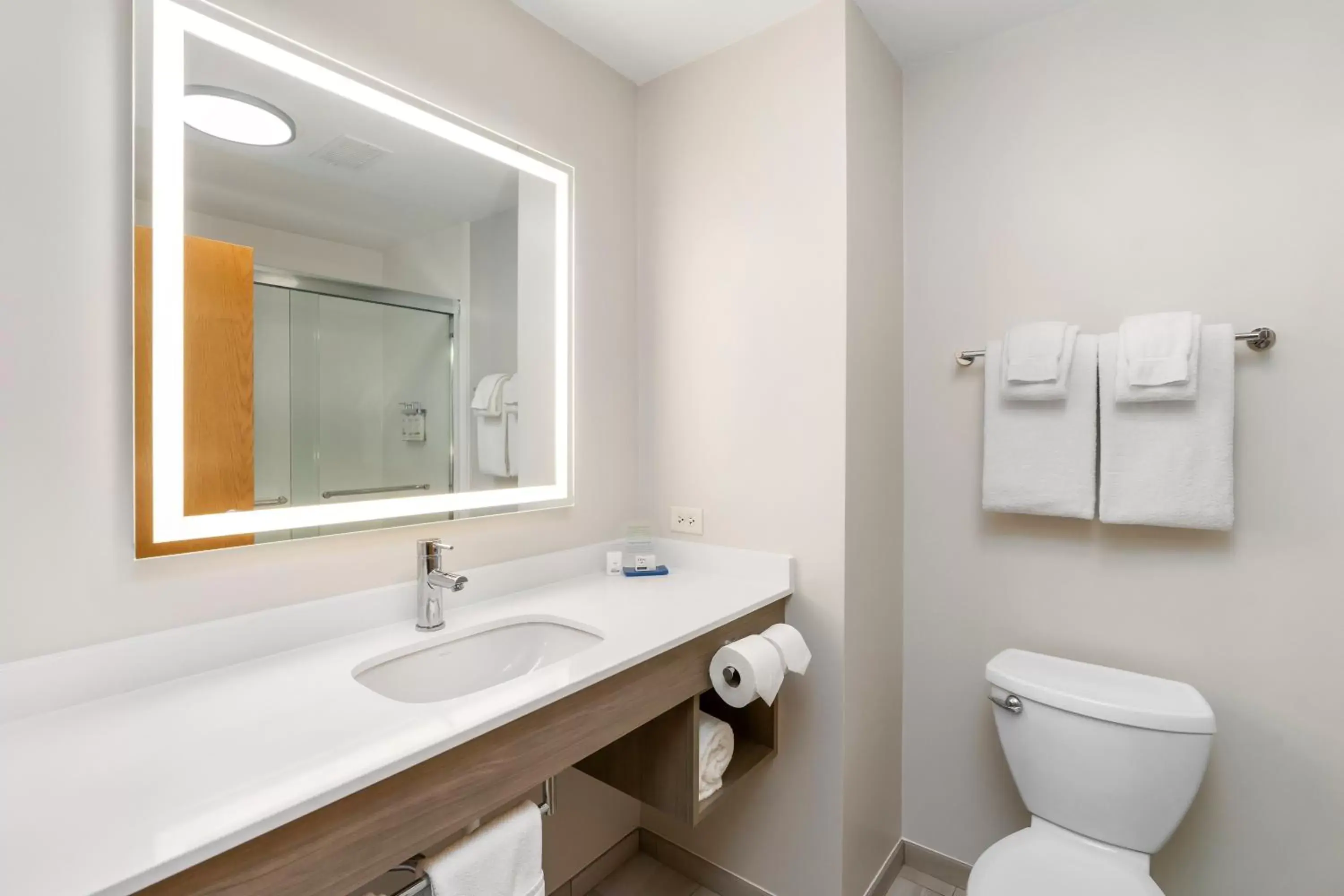 Bathroom in Holiday Inn Express Peru-Lasalle Area, an IHG Hotel