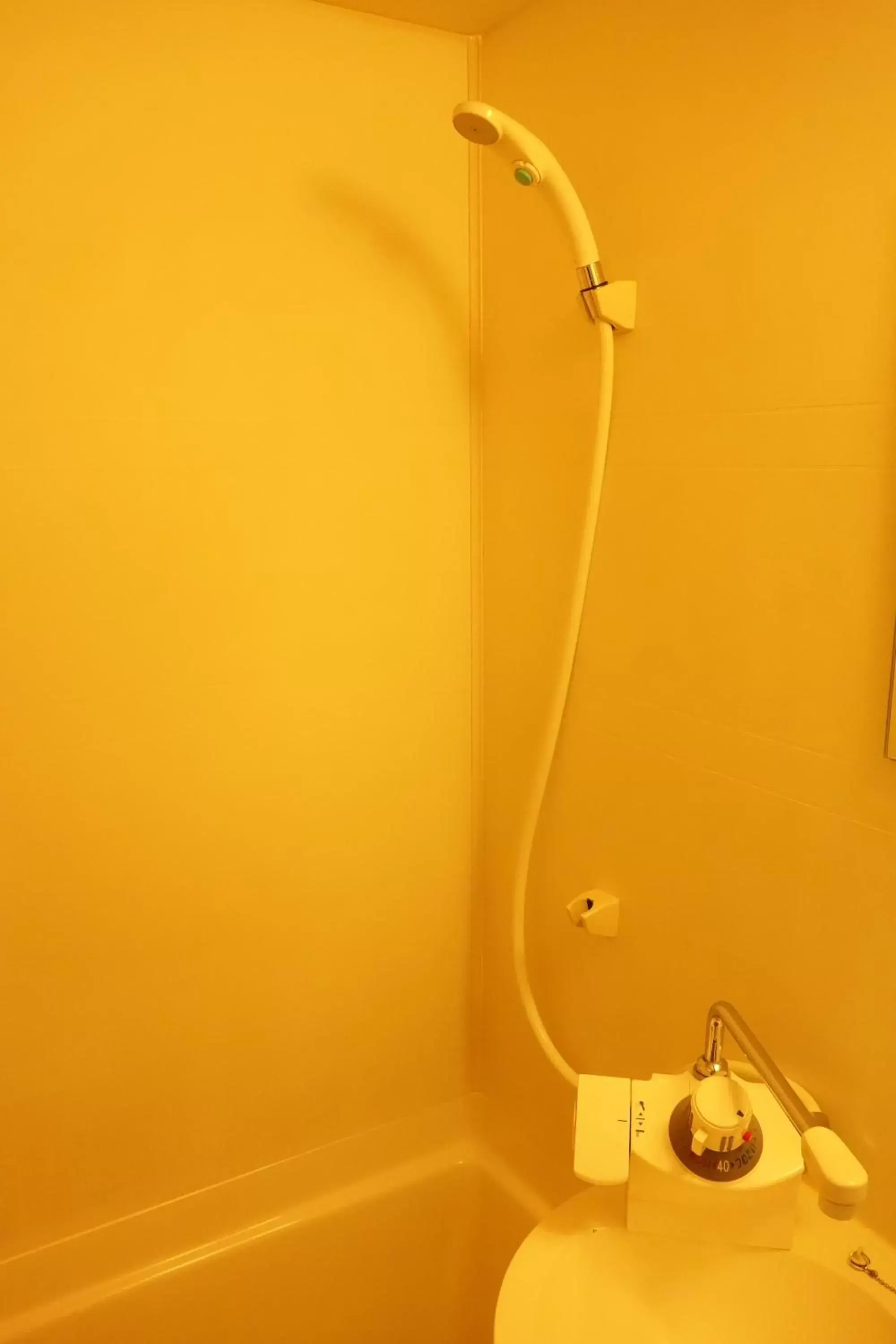 Shower, Bathroom in Hotel Abest Kochi