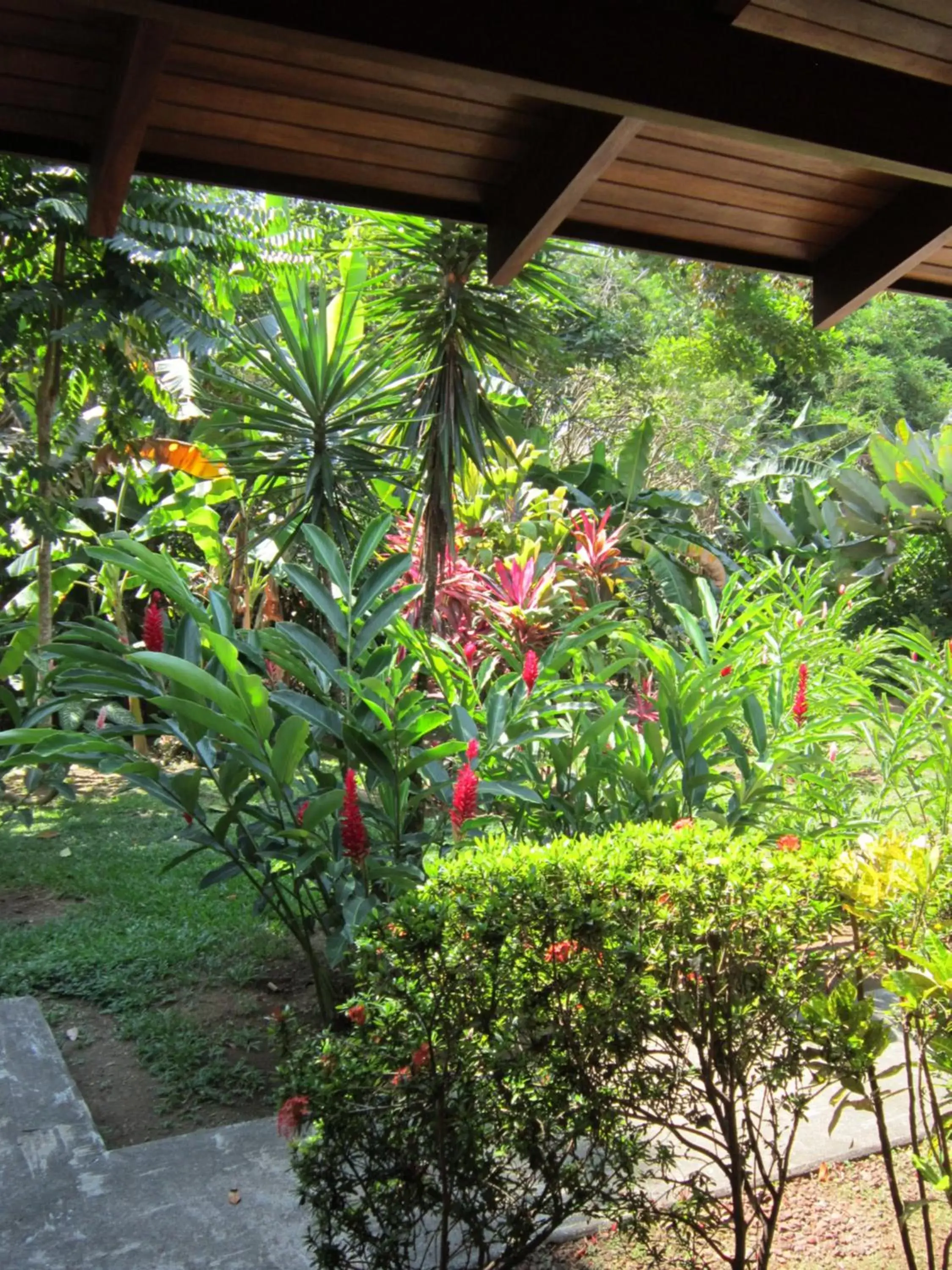 Garden in Hotel El Paraiso Escondido - Costa Rica