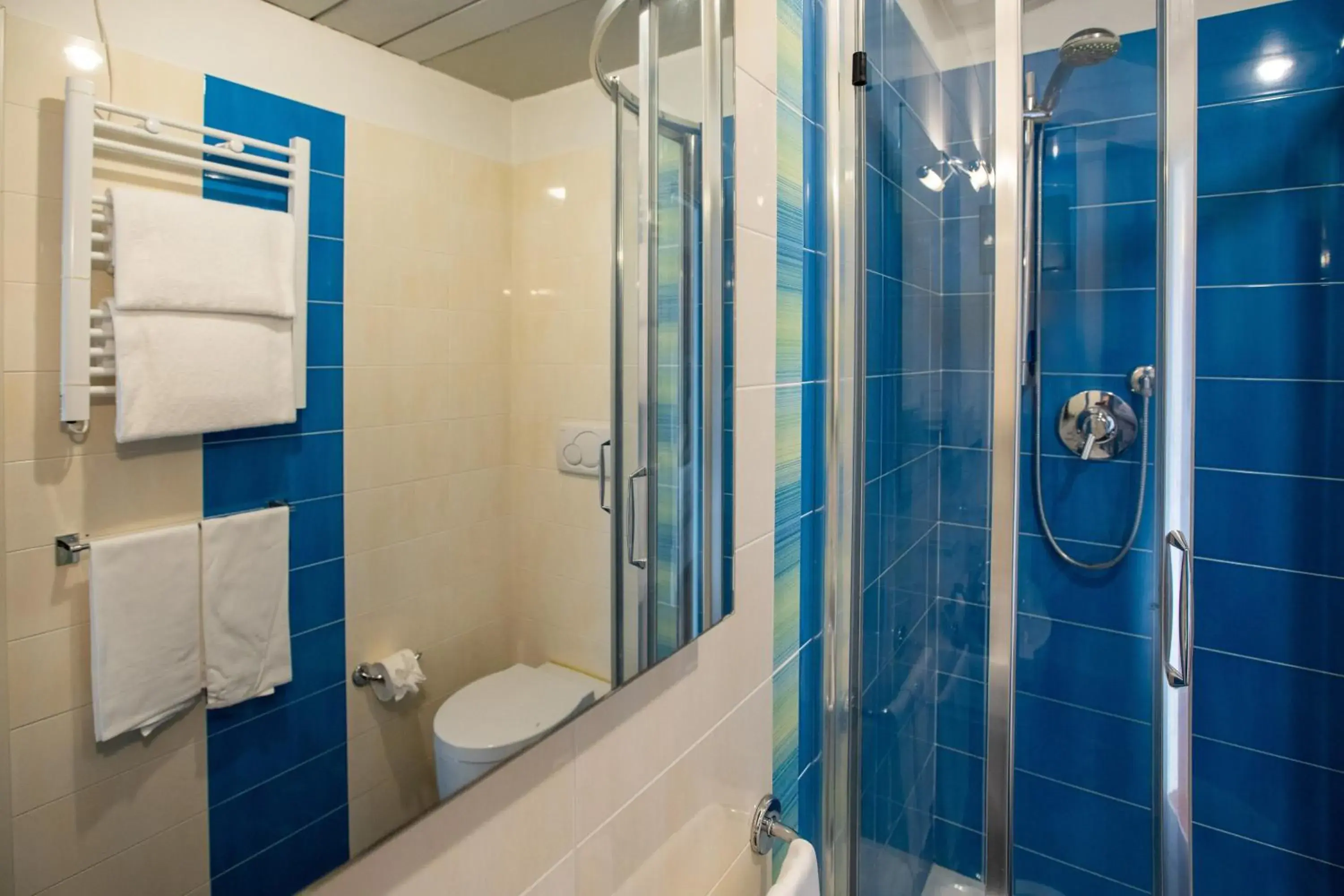 Shower, Bathroom in Hotel Palace del Conero