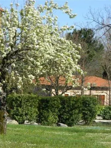 Garden in Hotel Residence Sant'Uberto