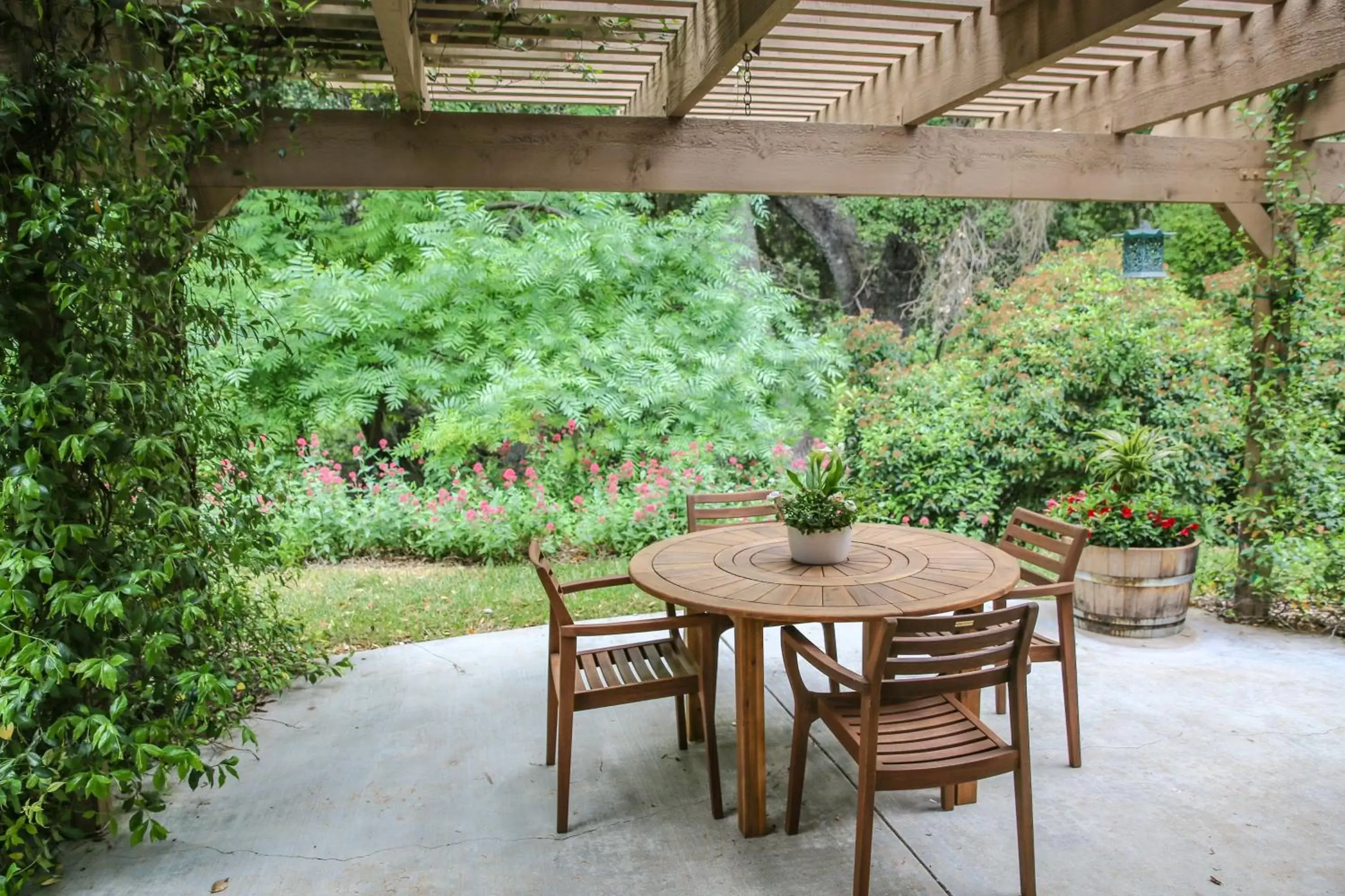 Patio in The Eden House Vineyard