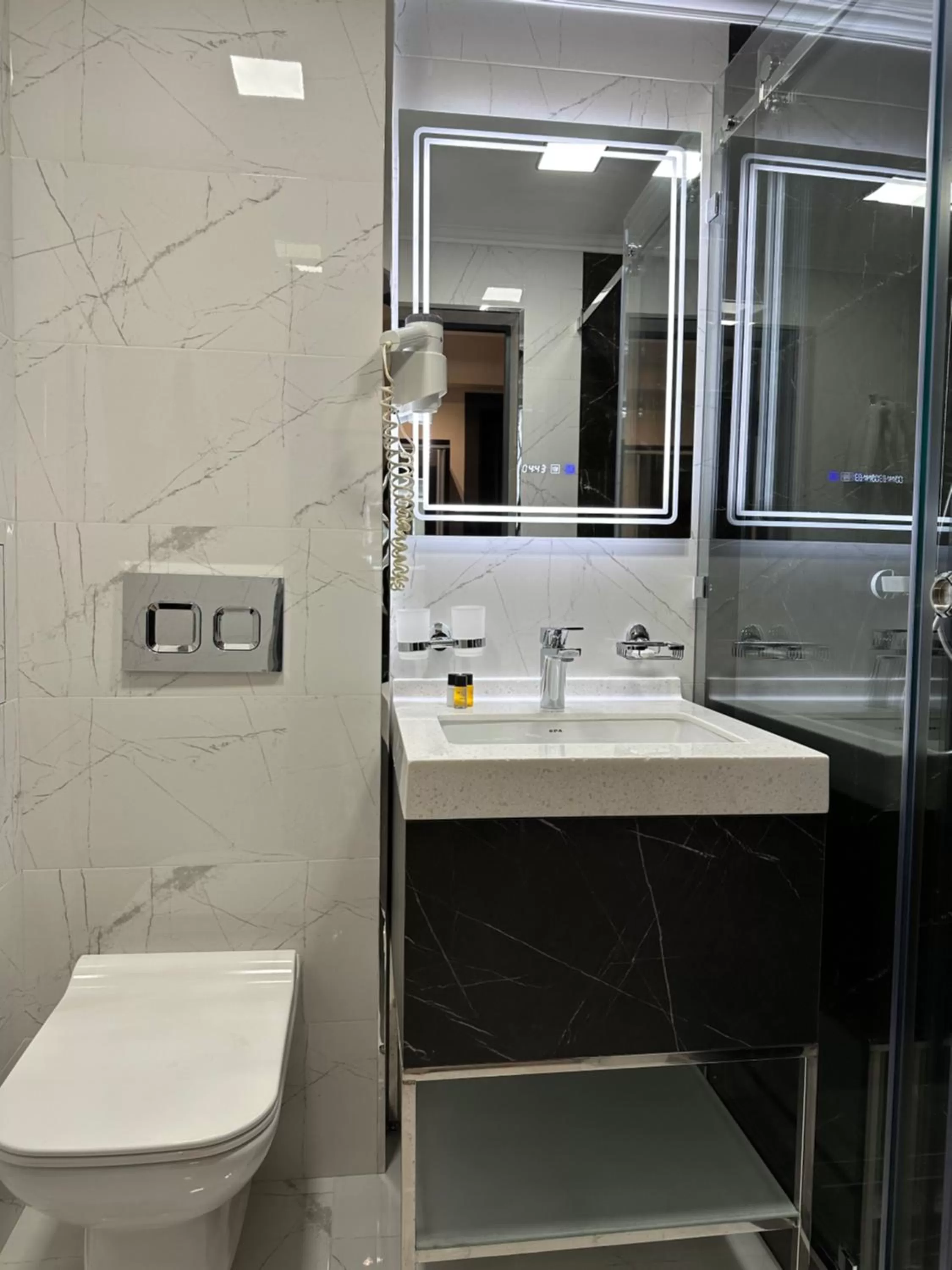 Toilet in Astor Hotel