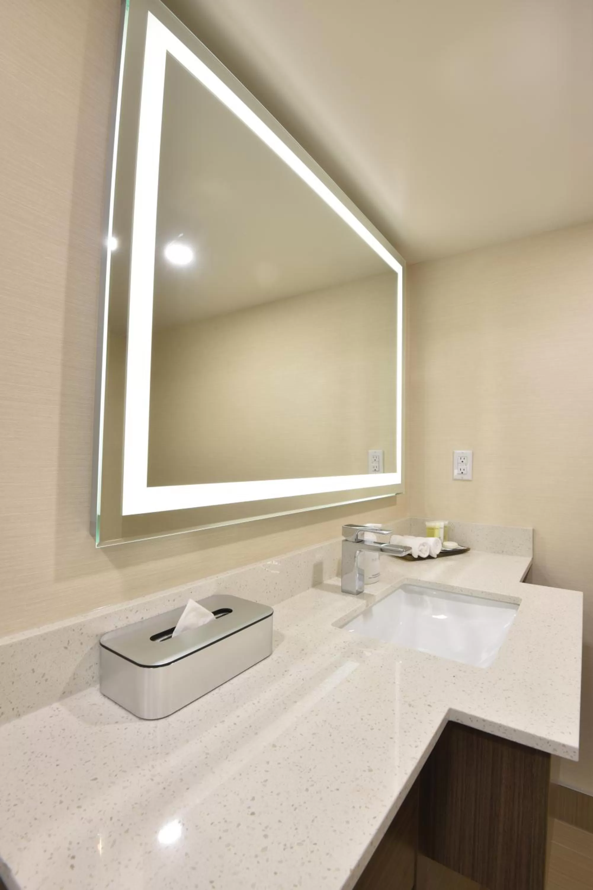 Bathroom in Victoria Inn Hotel and Convention Center Winnipeg