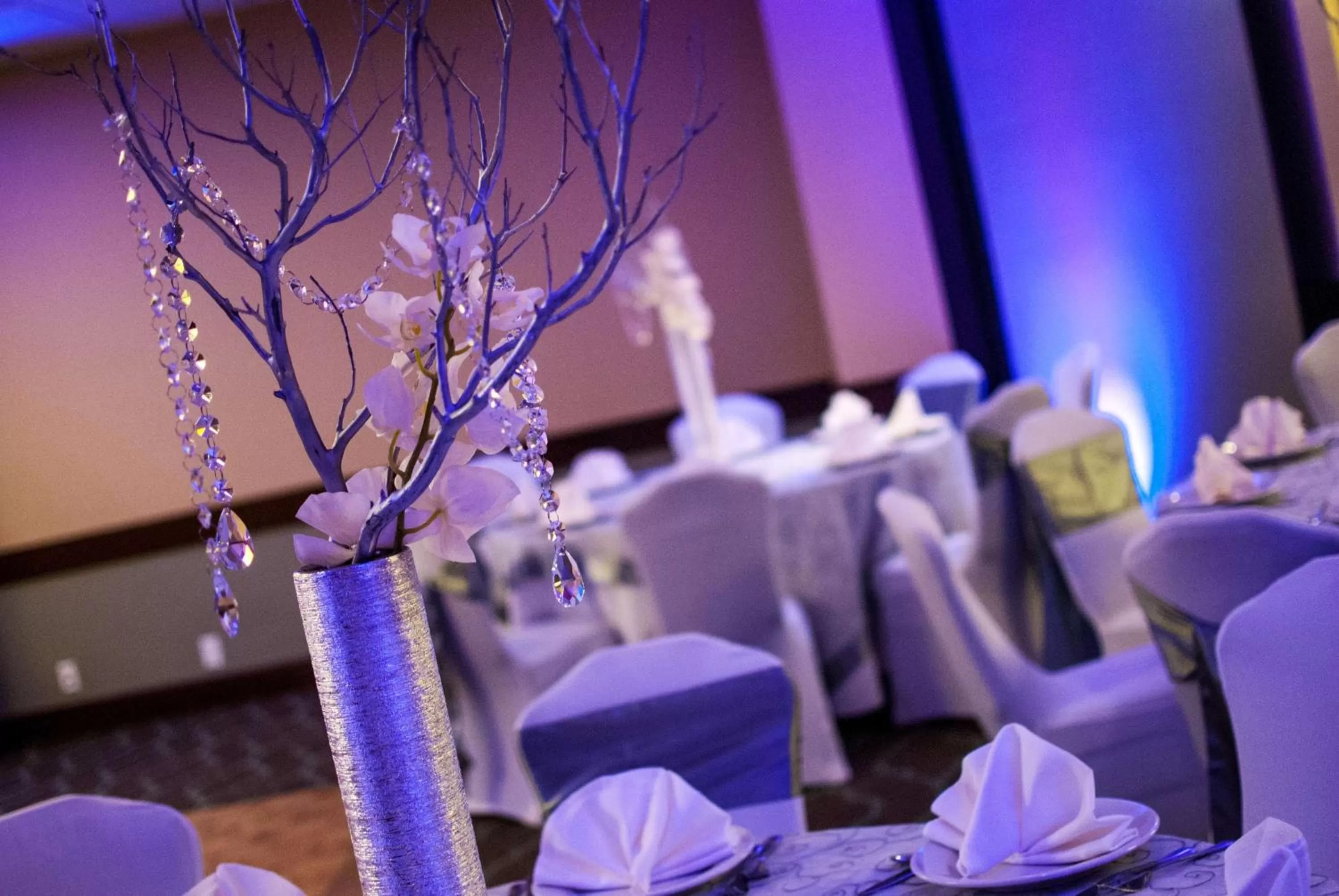 Meeting/conference room in Embassy Suites by Hilton Dallas Market Center