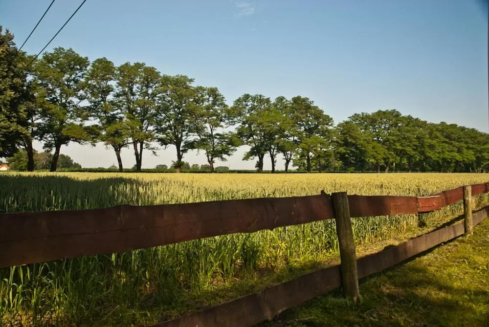 Neighbourhood in Gospoda Pazibroda