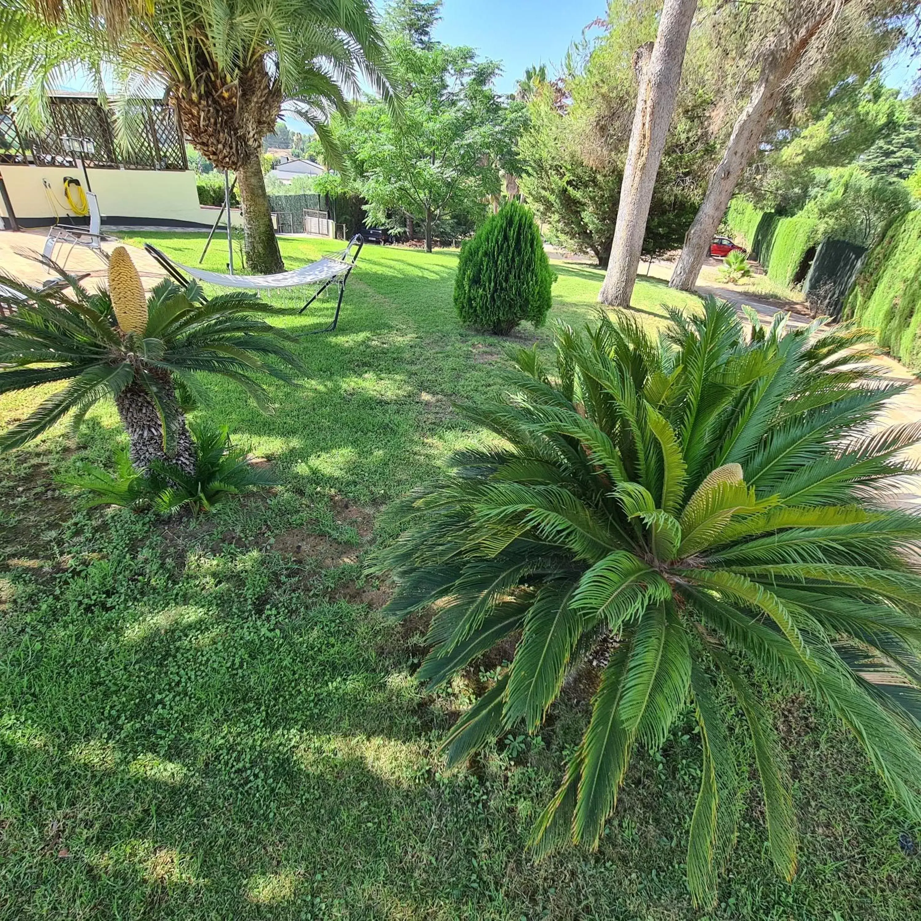 Day, Garden in Finca la Yuca