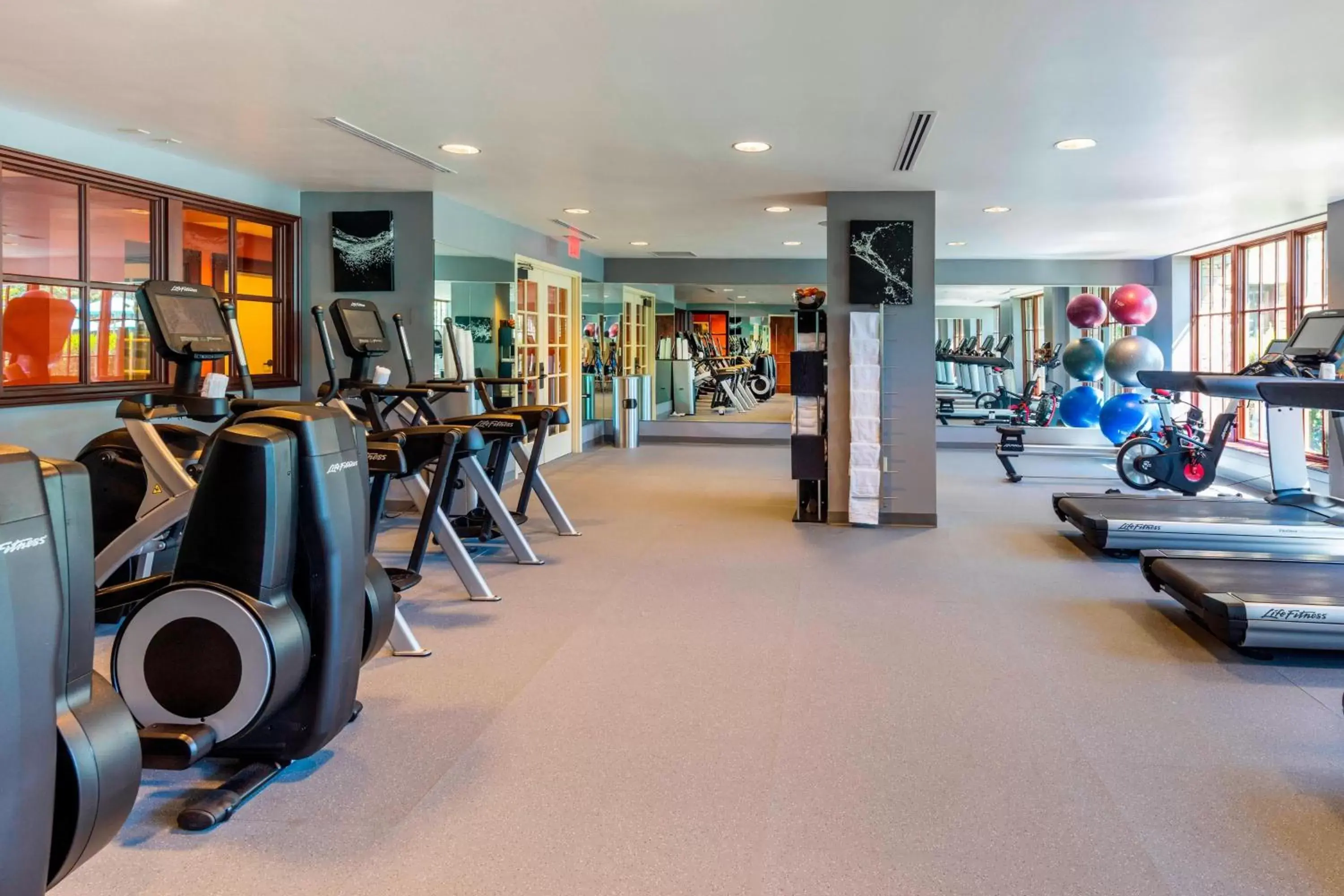 Fitness centre/facilities, Fitness Center/Facilities in Renaissance Birmingham Ross Bridge Golf Resort & Spa
