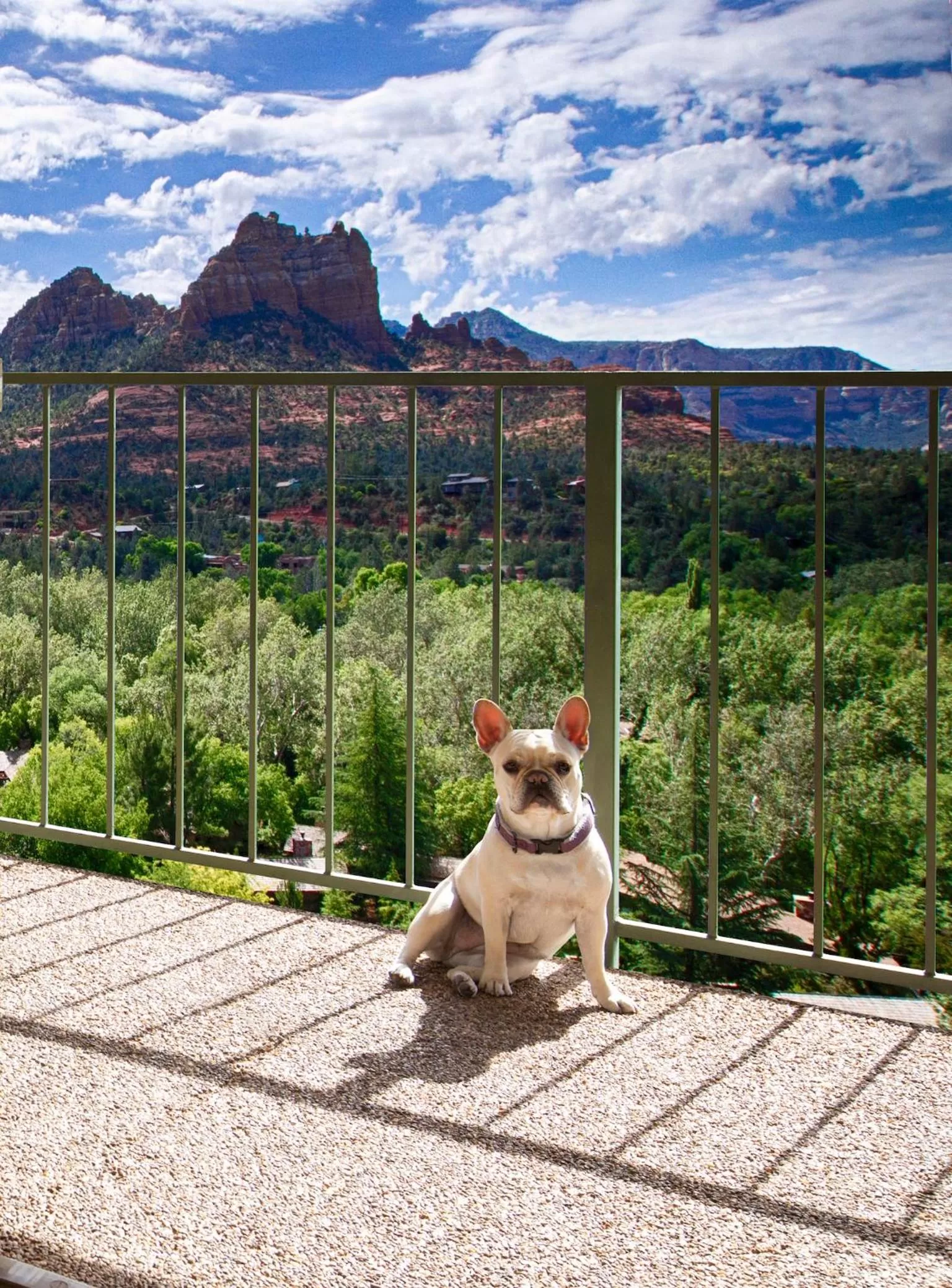 Patio in Orchards Inn