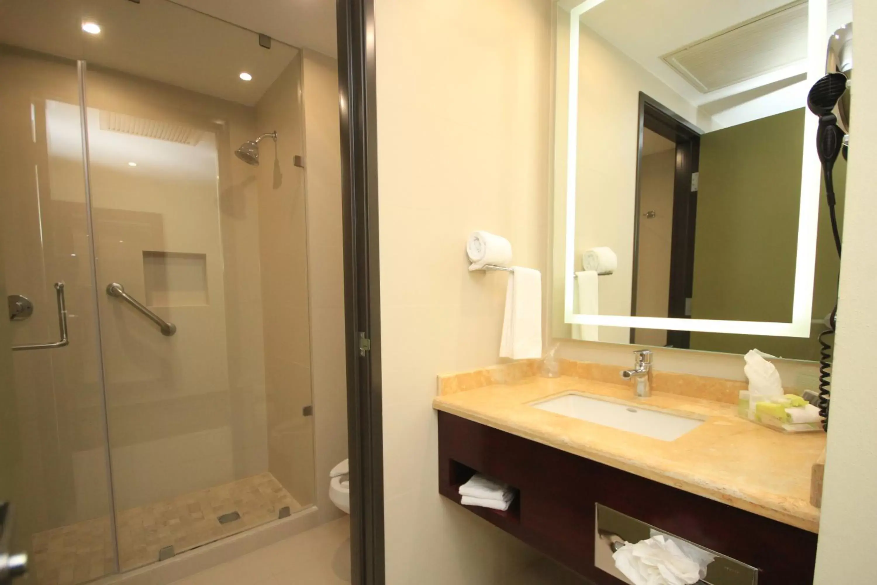 Shower, Bathroom in Holiday Inn Leon, an IHG Hotel