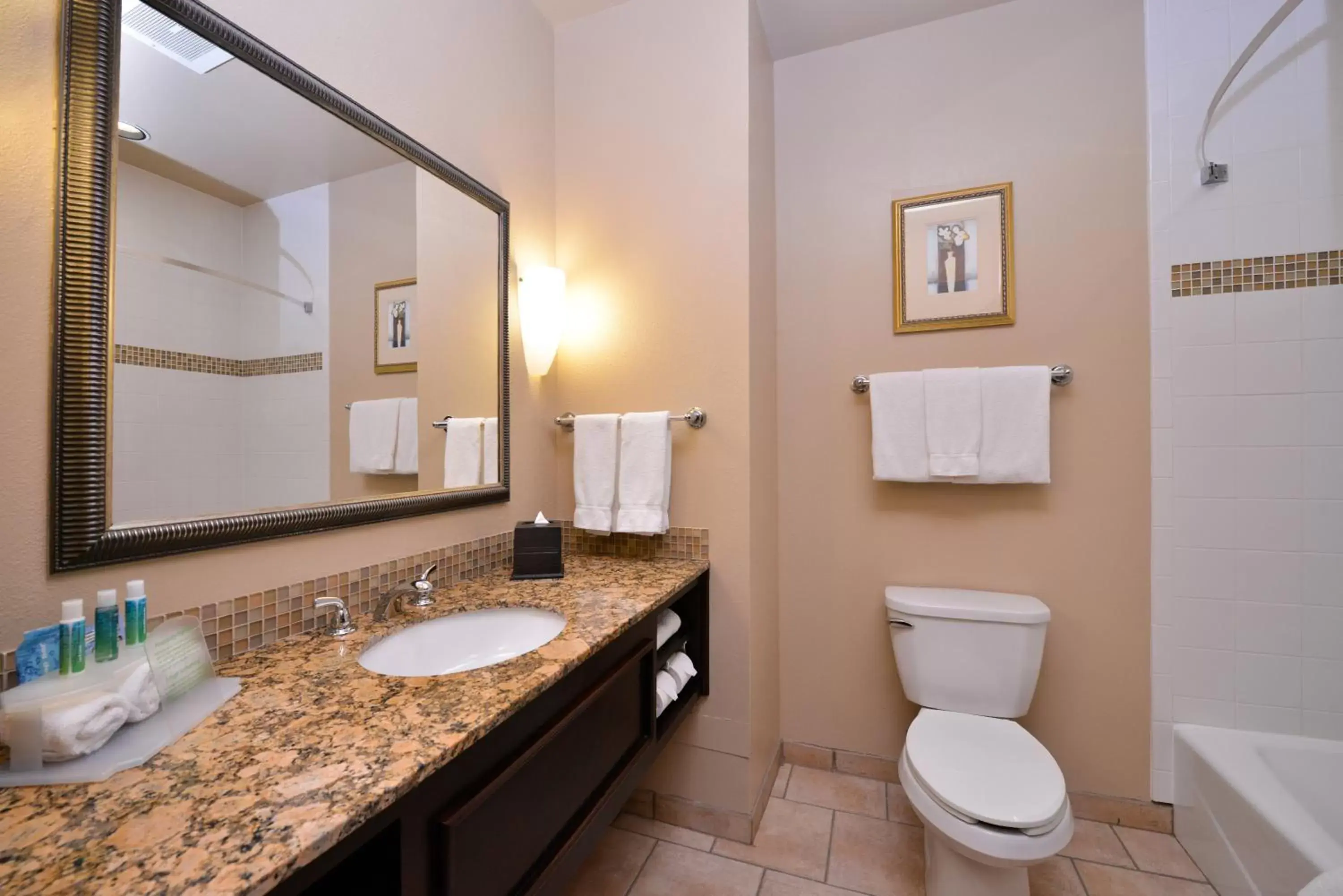Bathroom in Holiday Inn Express Hotel & Suites Wichita Falls, an IHG Hotel