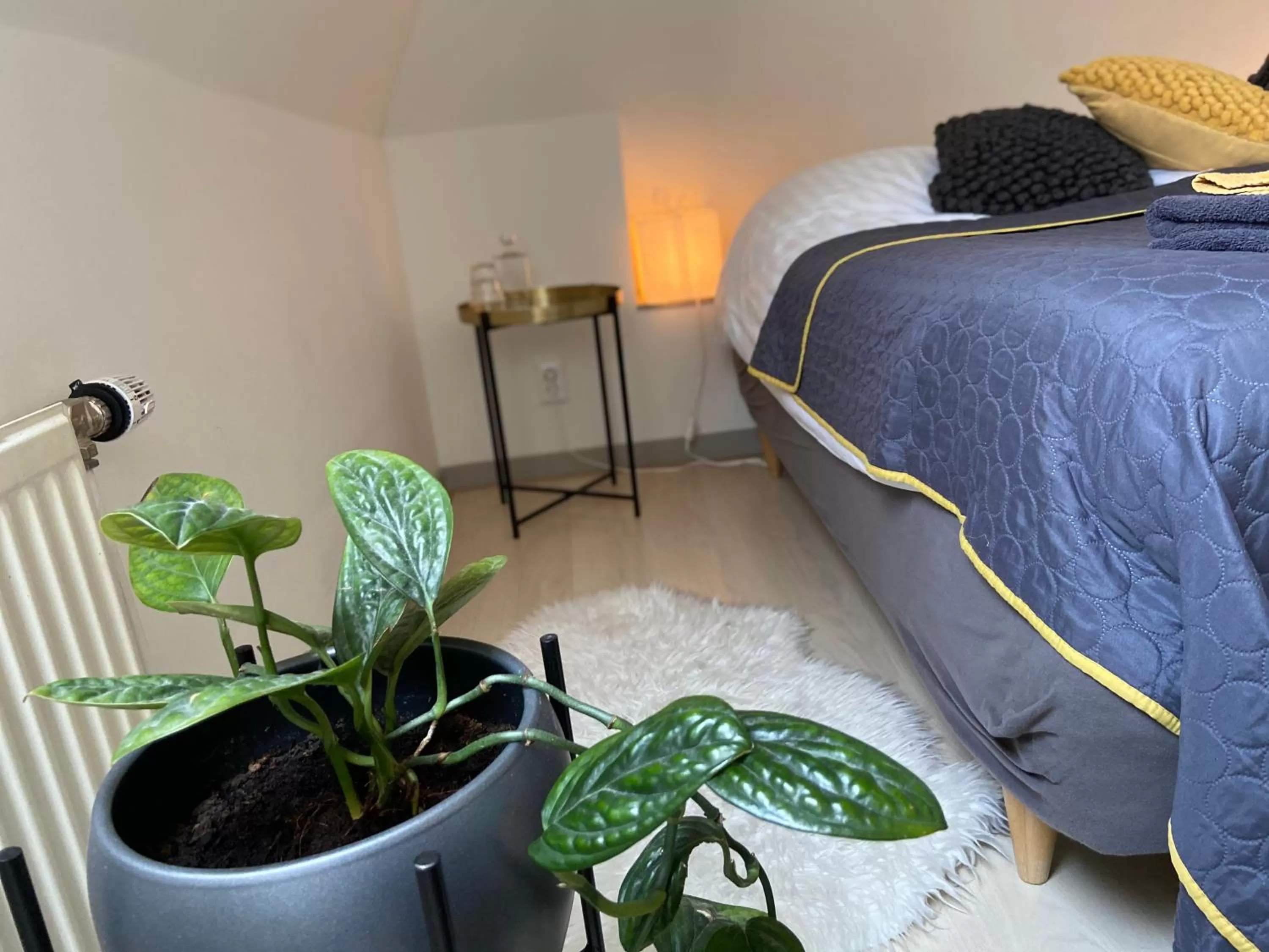 Bed in B&B Het Atelier