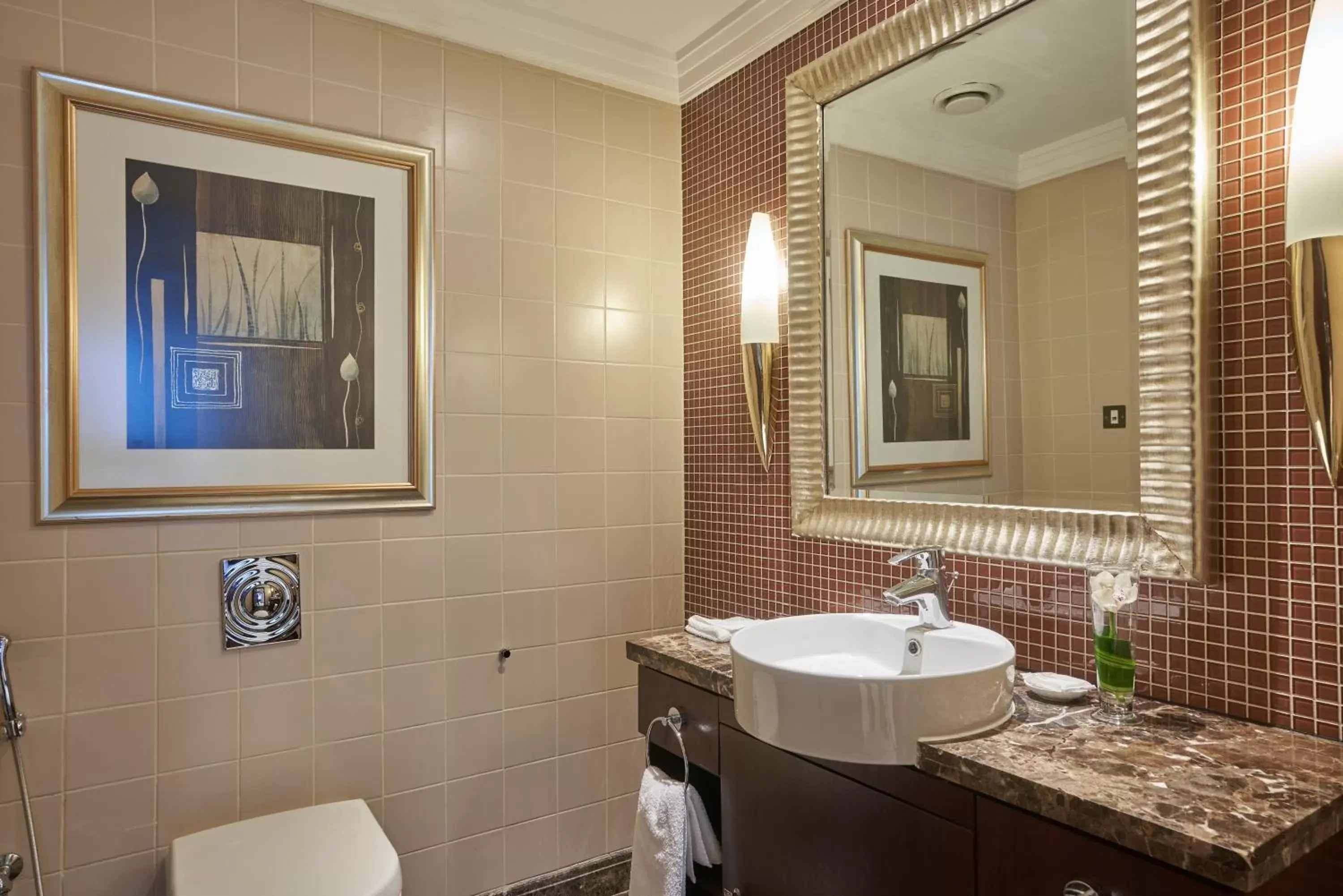 Toilet, Bathroom in The Diplomat Radisson Blu Hotel Residence & Spa