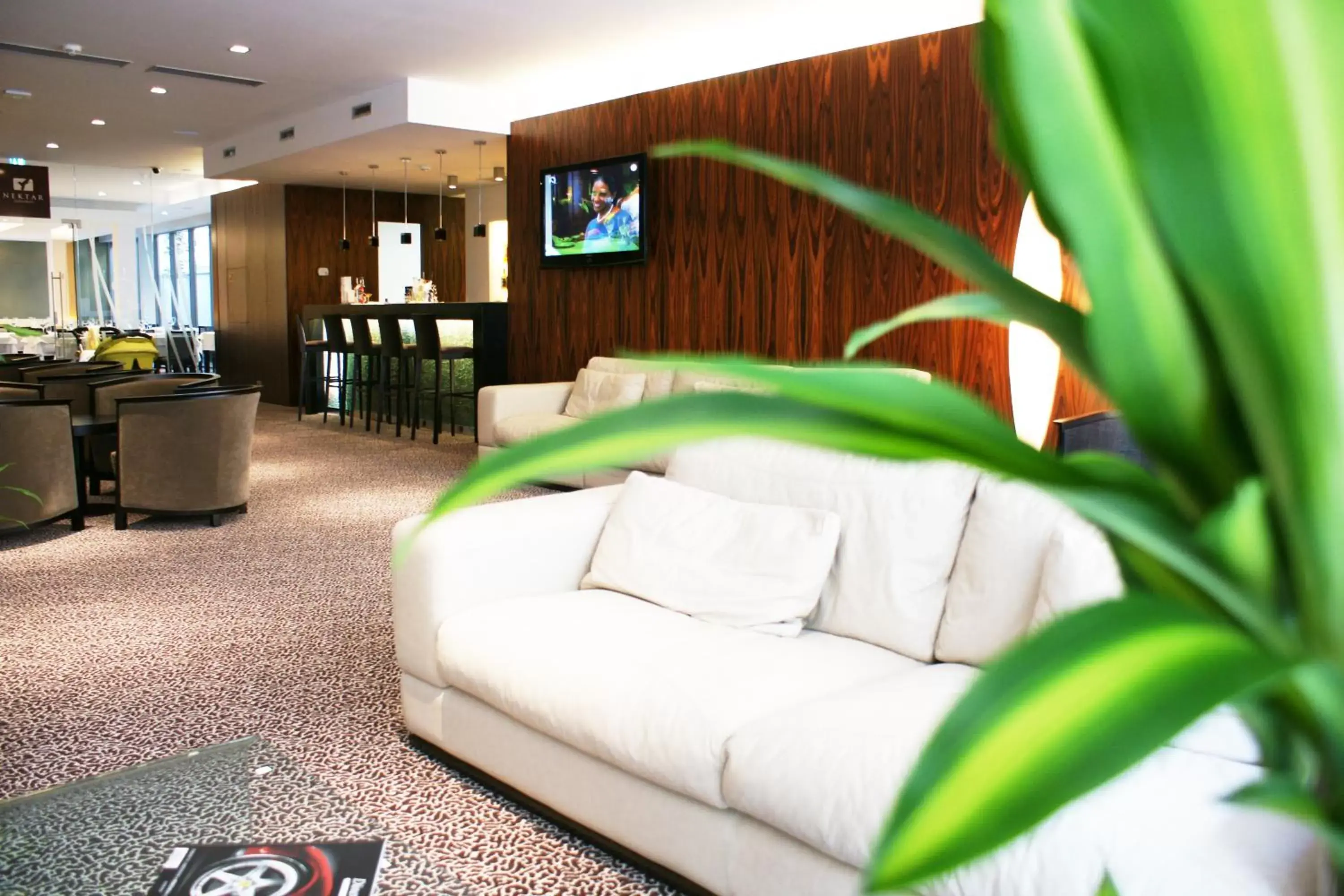 Communal lounge/ TV room in Hotel Avance